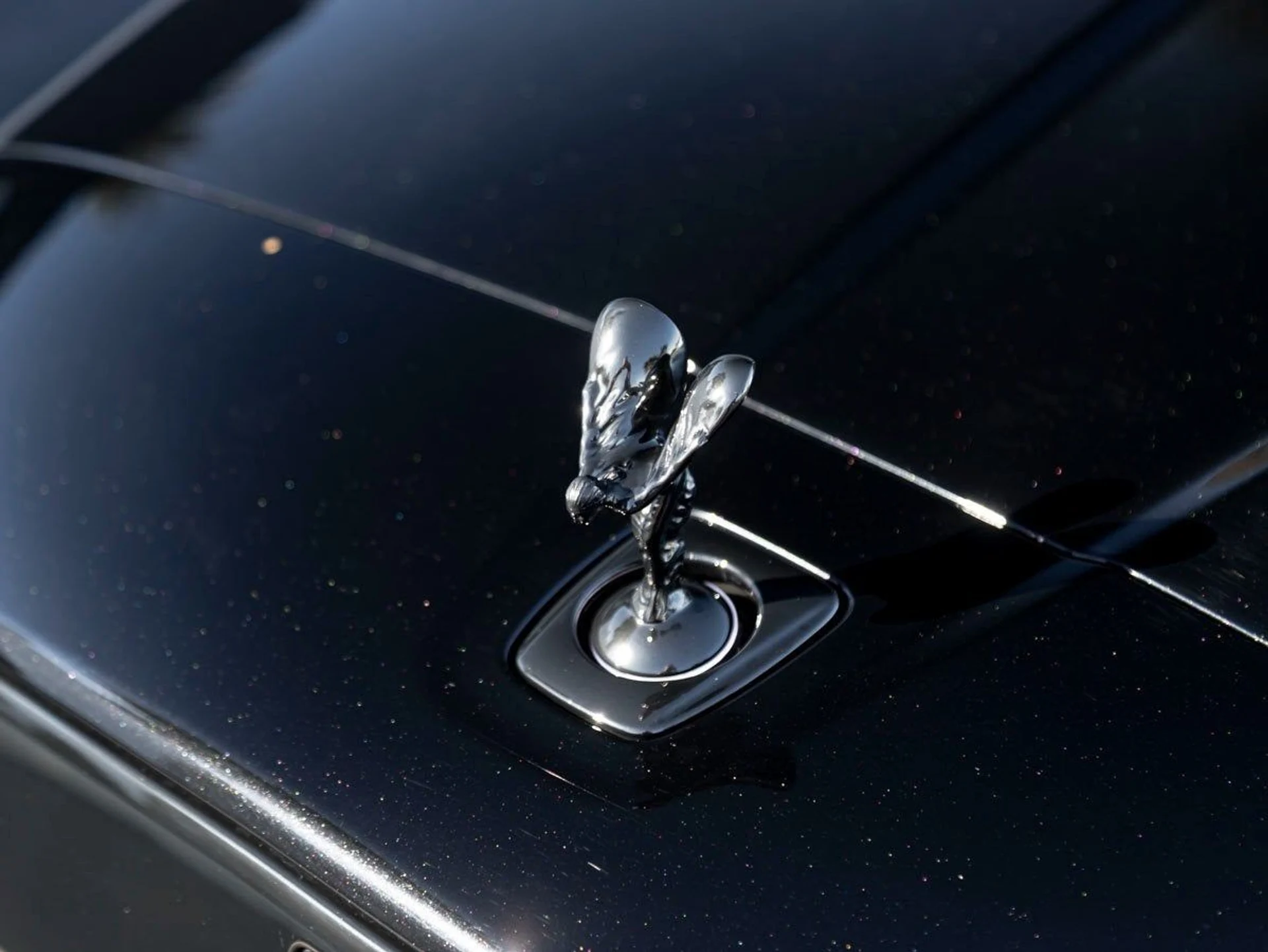 mph006_24868491_7_4f6f266739