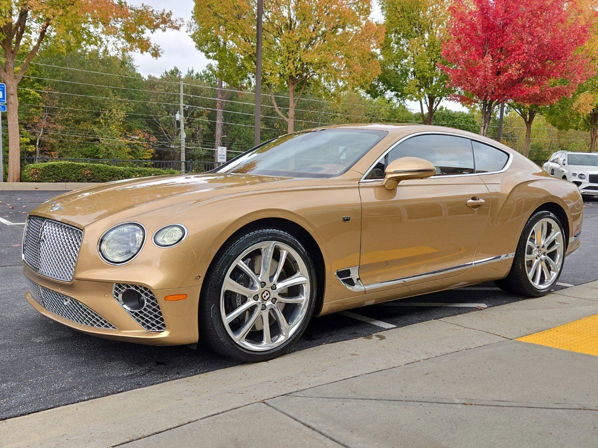 mph006_2497037112_3afea43f1744267e2a3113c6397ae772x_2caa9c3c40