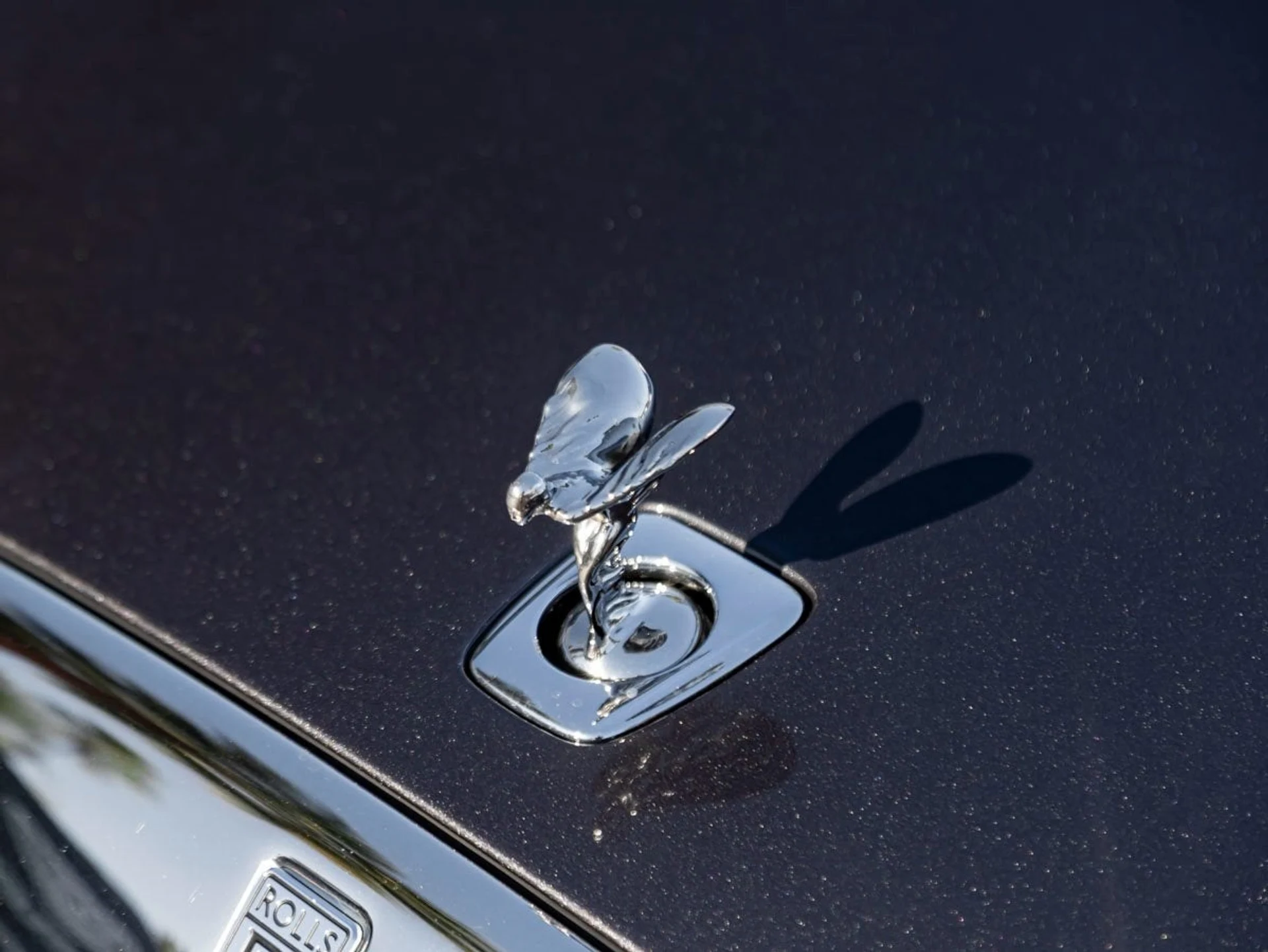 mph006_2499758504_7_87158e14c4