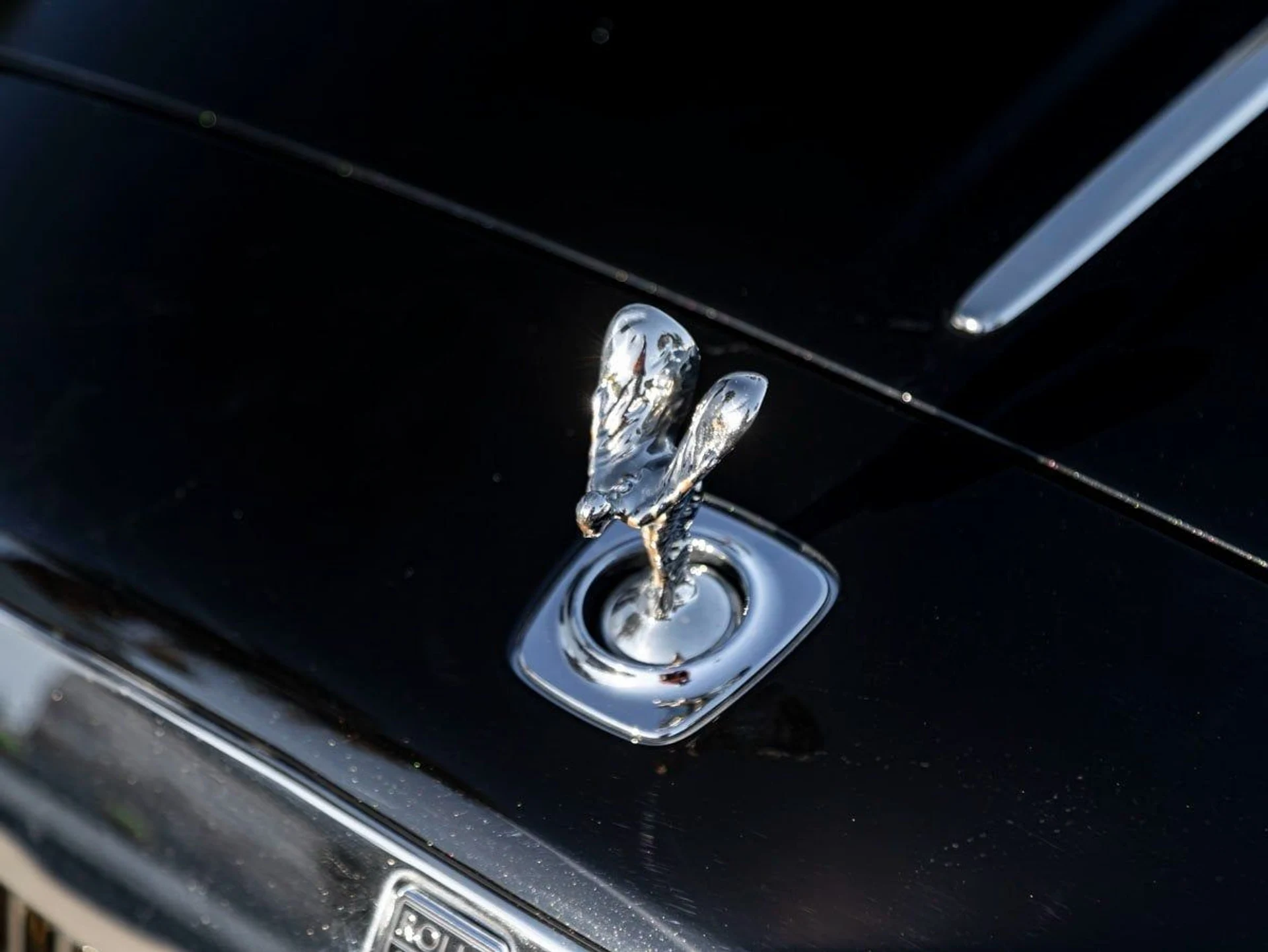 mph006_250649340_7_a735a136ee