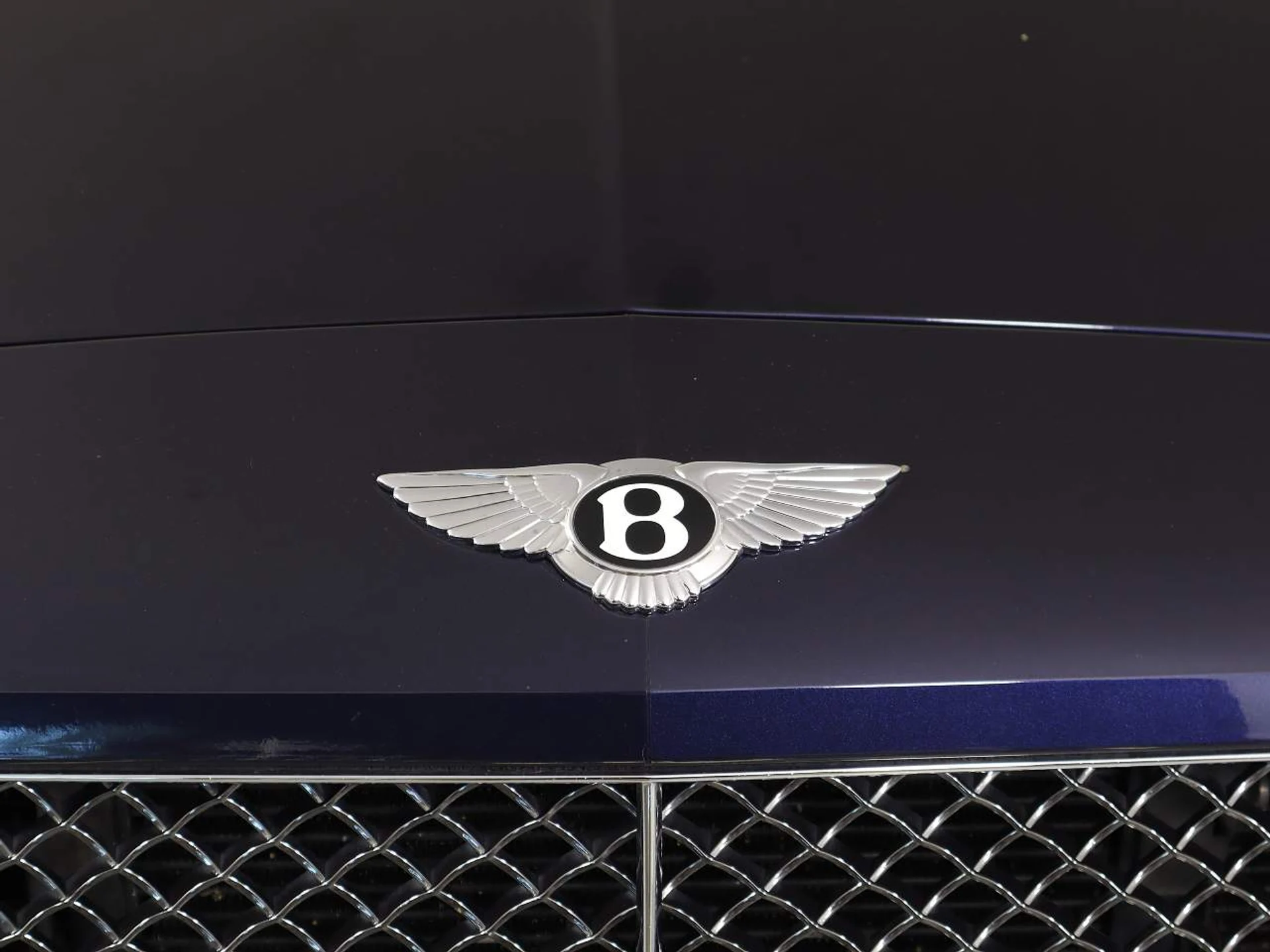 mph006_2523273510_87ba0f1337ce7d68181f2b00dd49624a_20559656db