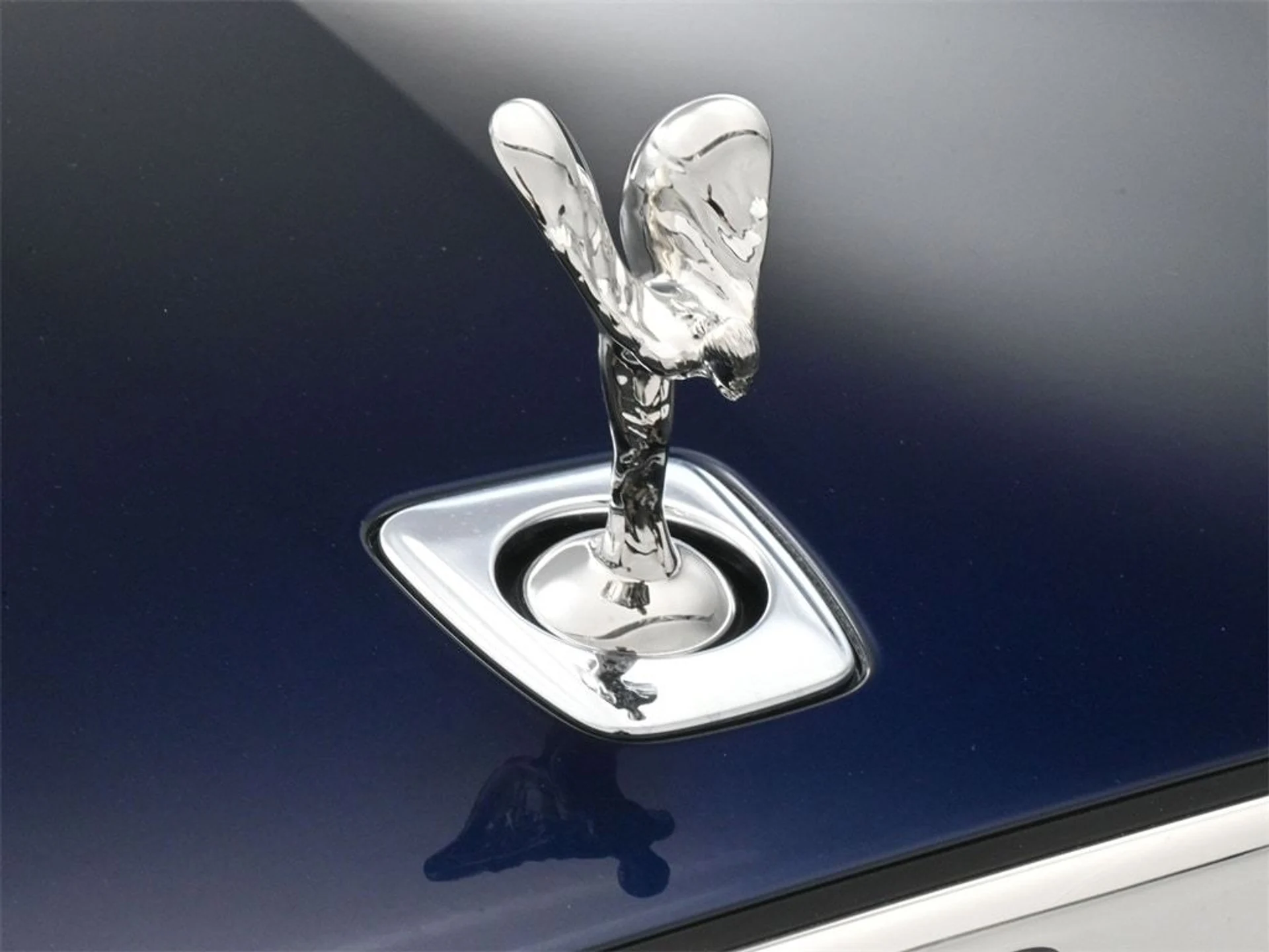 mph006_2525379569_673ca9e806b1dcbd3915cd9c346a6cffx_7382694973