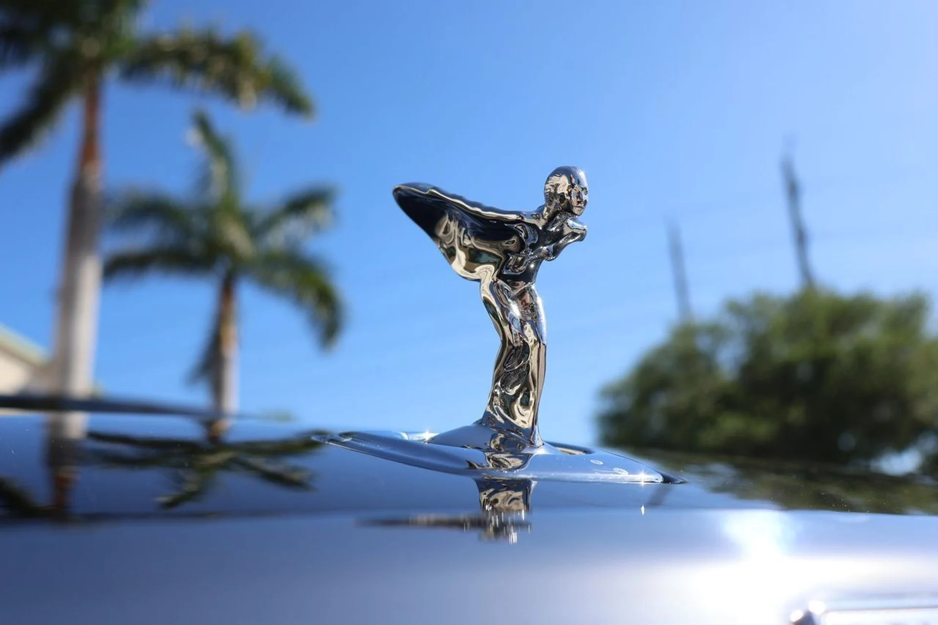 mph006_2587548482_7_6e5dab902d