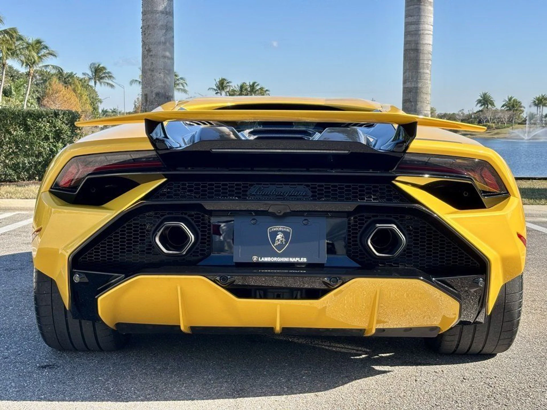 mph006_2604189714_6369fed728ee655f2685ffd22c365b82_f9b3c52013