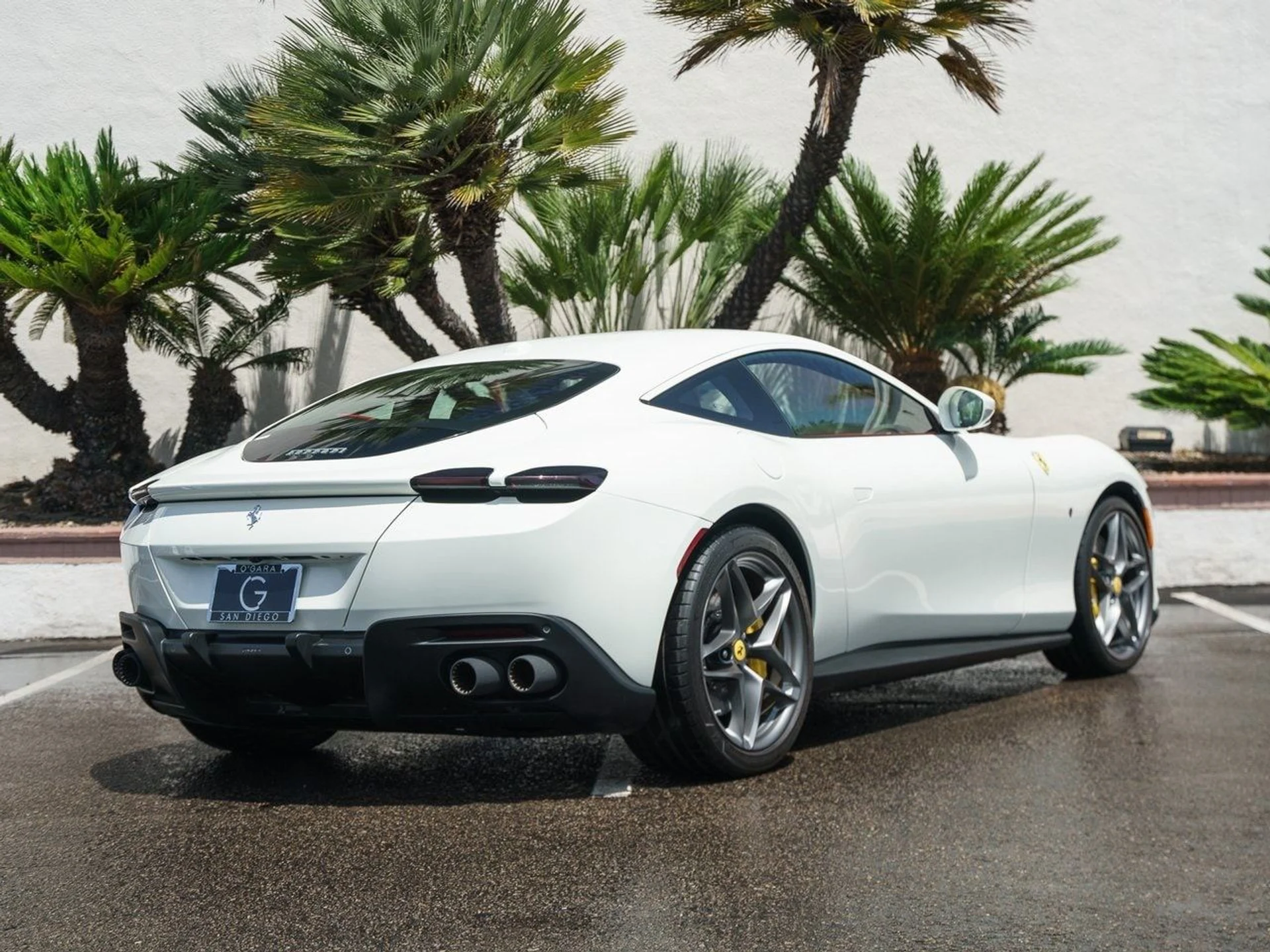 mph006_2642973829_9a96ce632daaa91803a13a50991cad3bx_e4e3b5861b