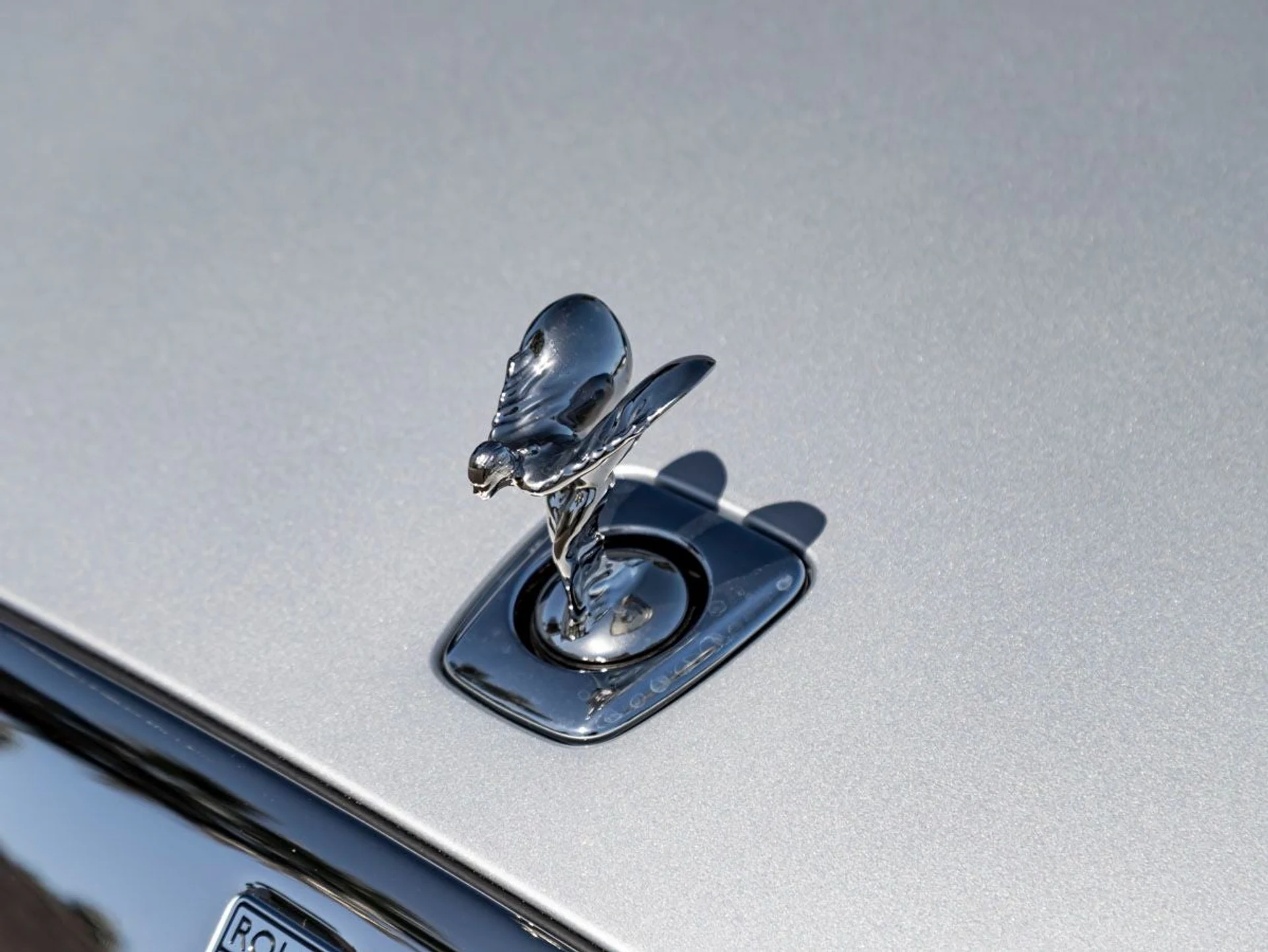 mph006_2673286926_7_a845414a1d