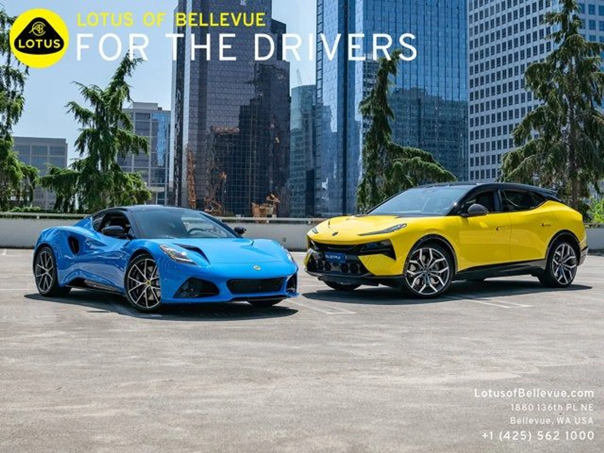 mph006_2677157213_7_c7fca29b5c