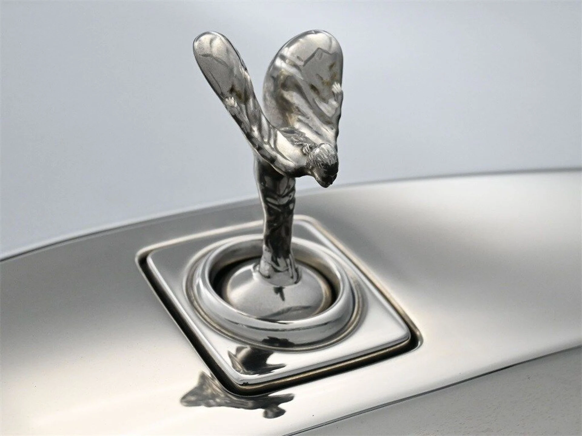 mph006_2690373926_f74e6c7f122c89ecd8596c03885c9ce4x_52c307764f