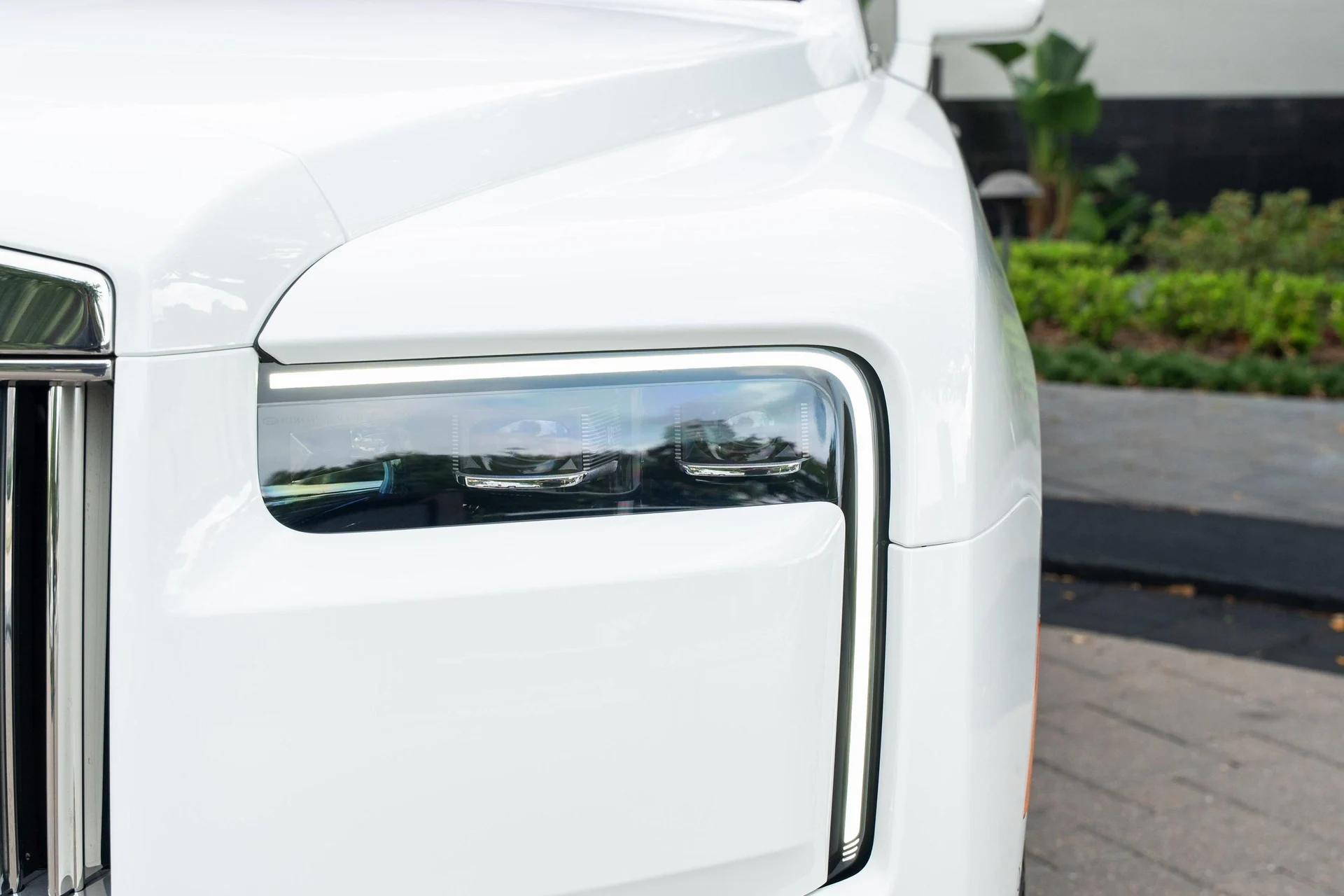 mph006_2710924267_500349993_69a6fbf2af3a405b44d41115_9c441cd69b