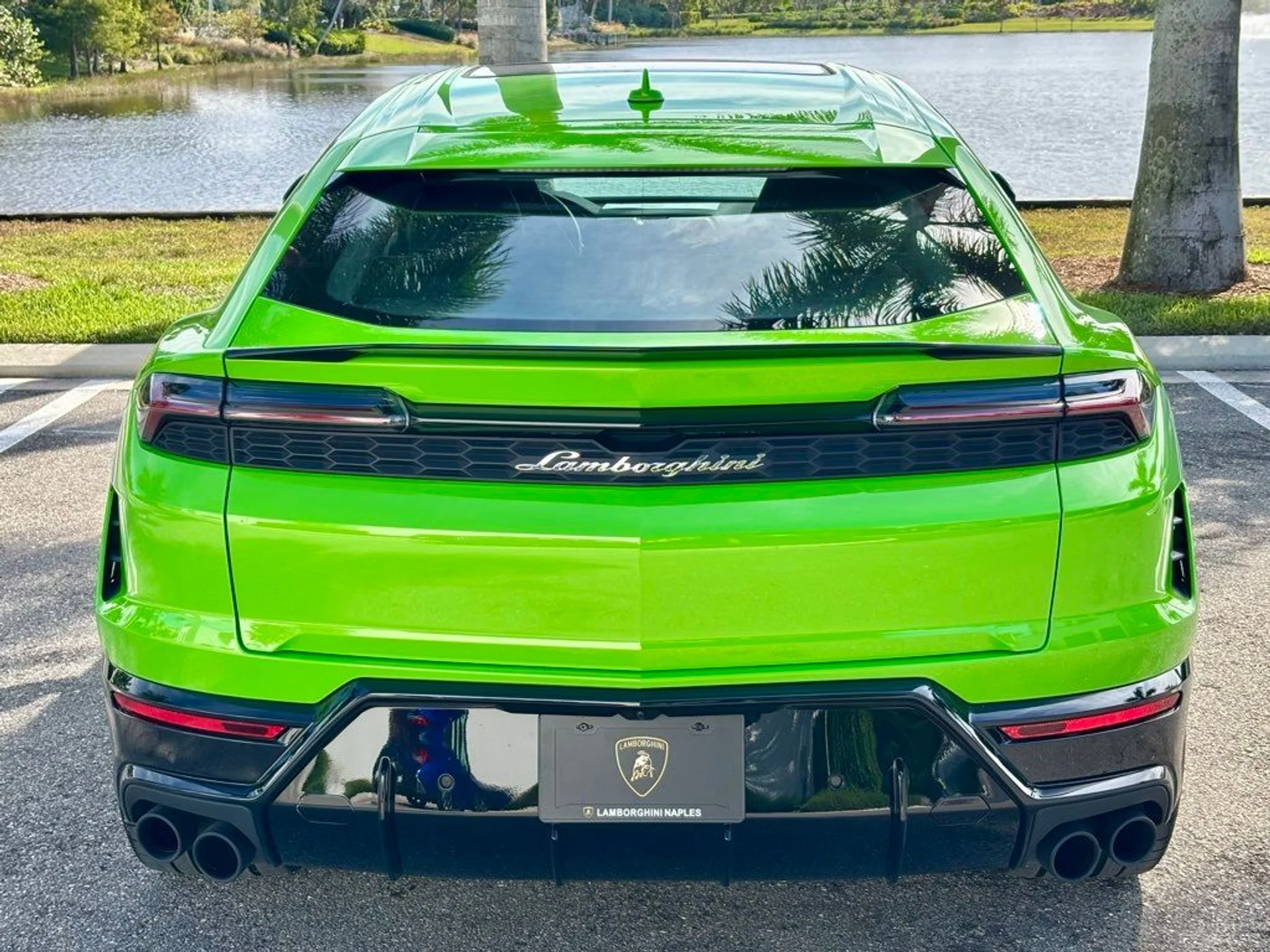 mph006_2747910600_f10840ec7719adc7319e7c82aba13276_351083092a