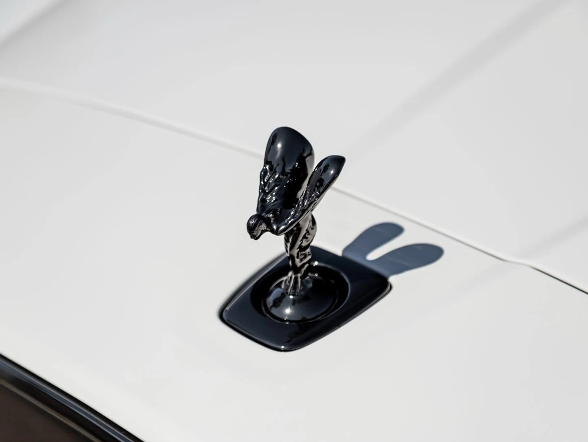 mph006_2771182136_7_4ae79b7ea8