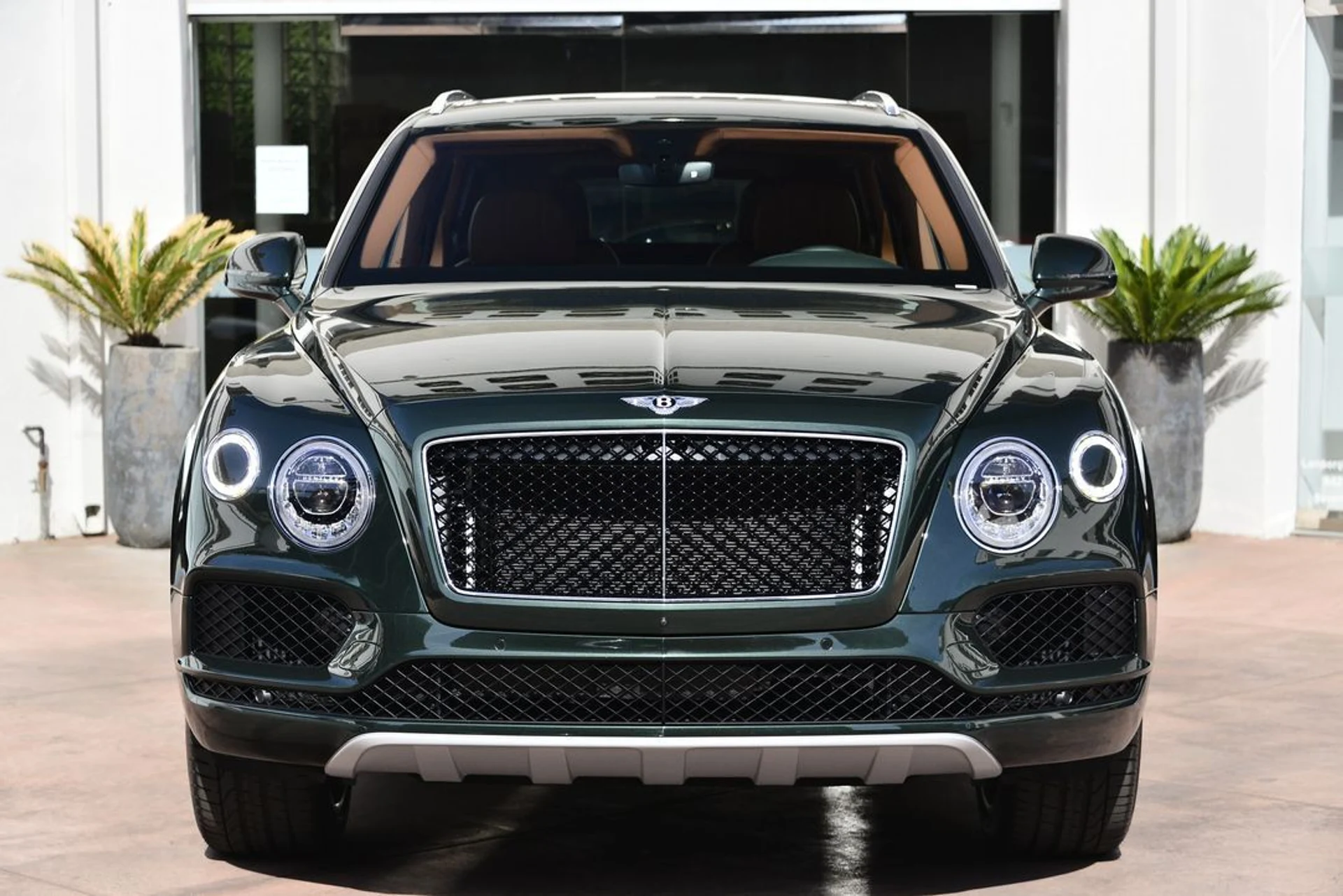 mph006_277992131_4d6811eeea9e580745f008aa330fcad3x_c9665ce736