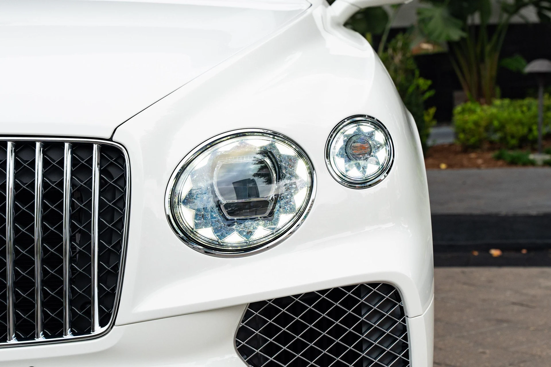 mph006_2786260460_389622358_6773653b2b7a94b33fd41a49_c059b5684e