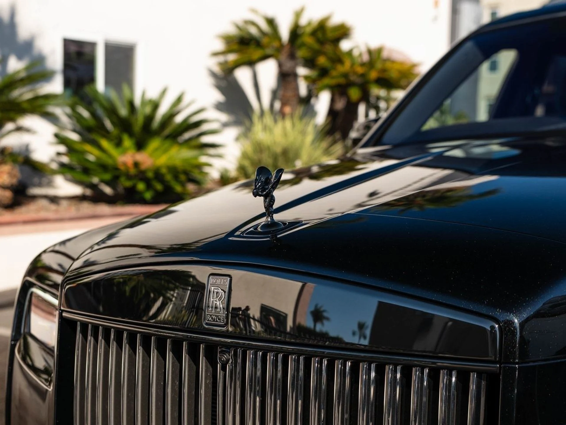 mph006_2790284956_e0f88bc4e6c42d17b1fb4beb96f747b6x_f038813348