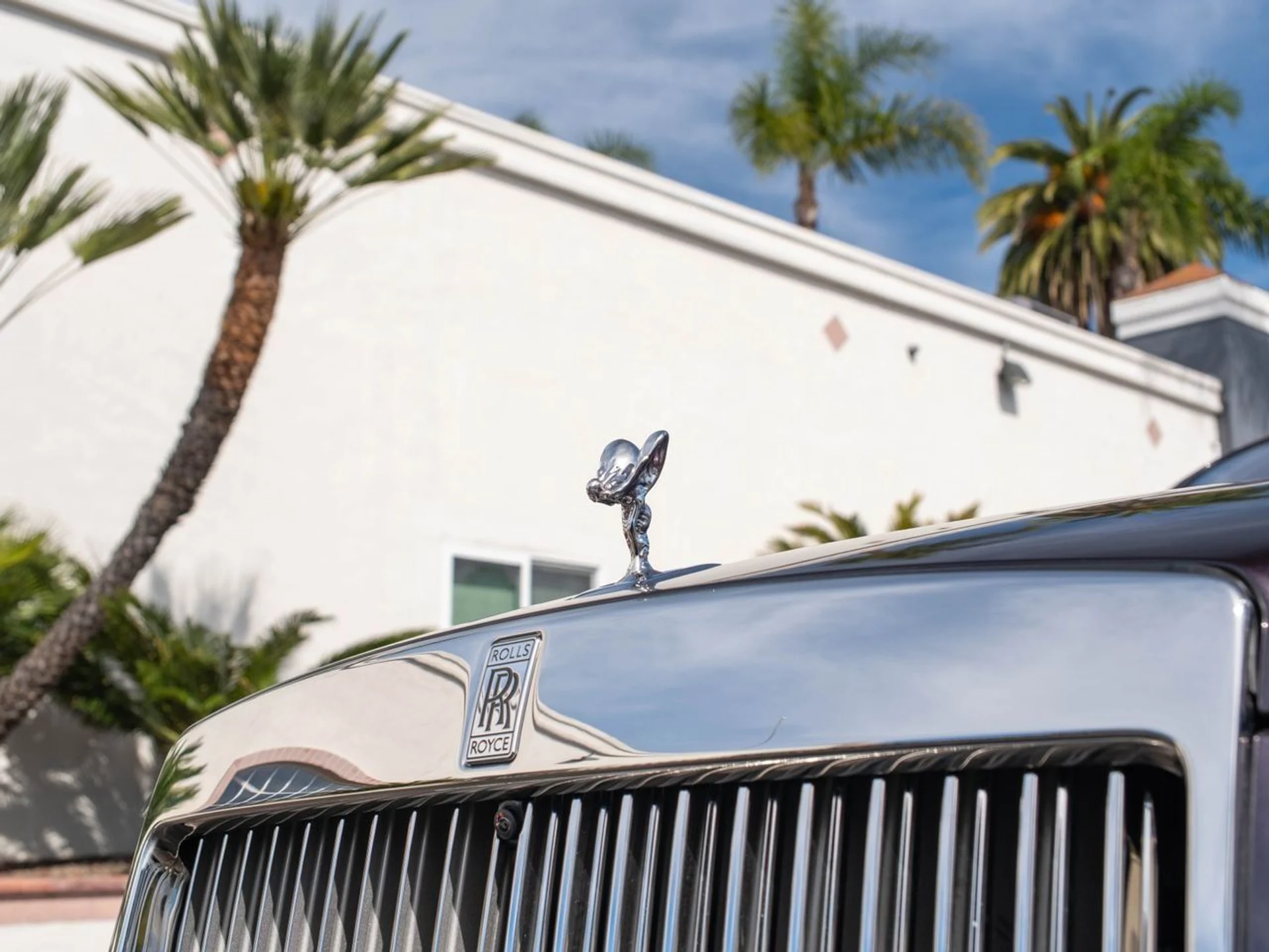 mph006_2796564841_1cb200ada2bd6f07e46ffb848f797b2ex_42ed867a22