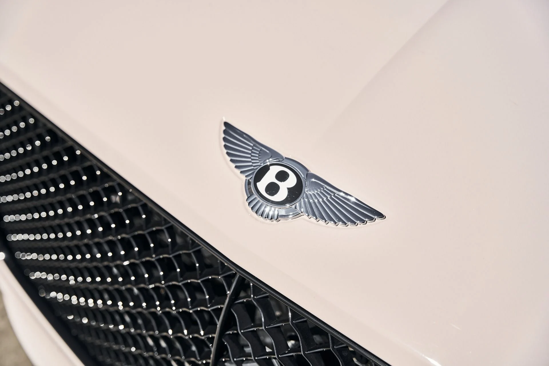 mph006_2827979227_Used_2024_Bentley_Continental_GT_Speed_1790300399_3874b64a75