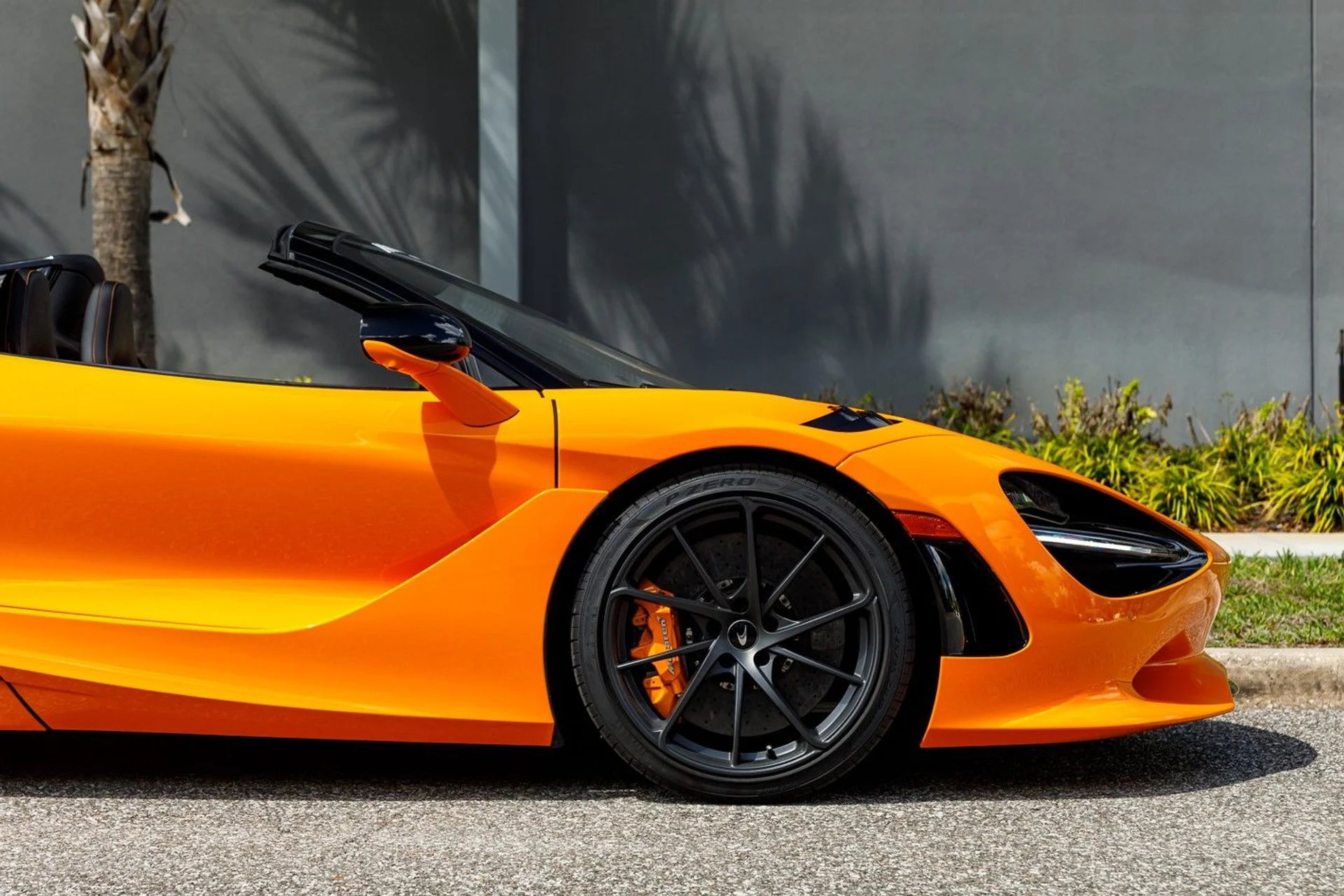 mph006_2897636750_515_p7_l_76ff379e25