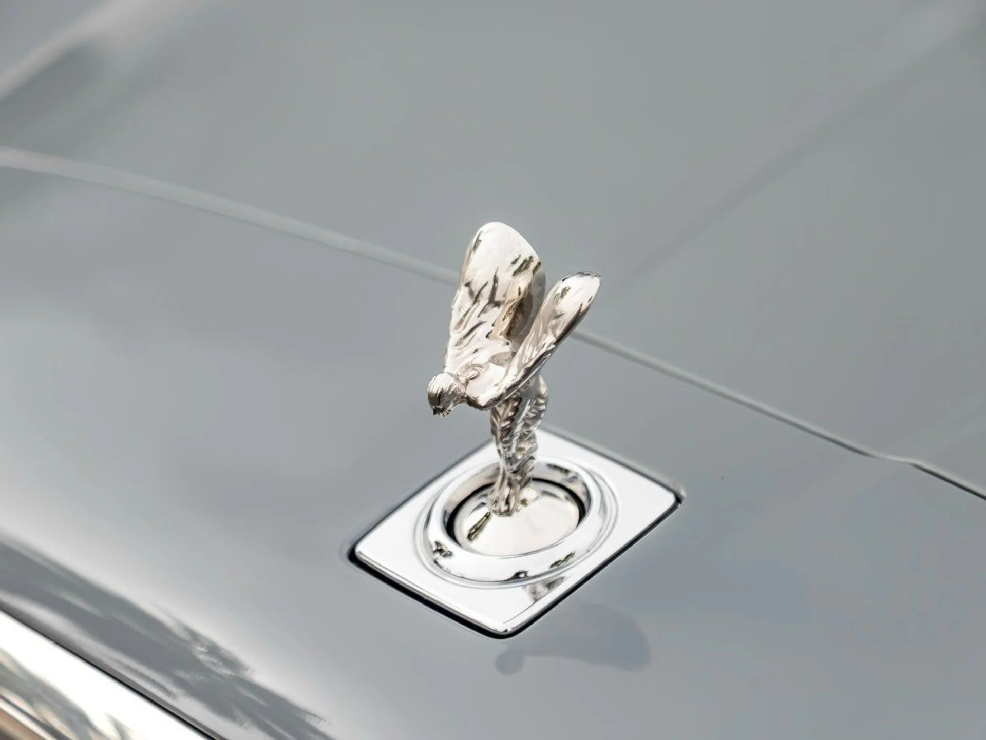 mph006_2927125695_7_f598f0f7cc