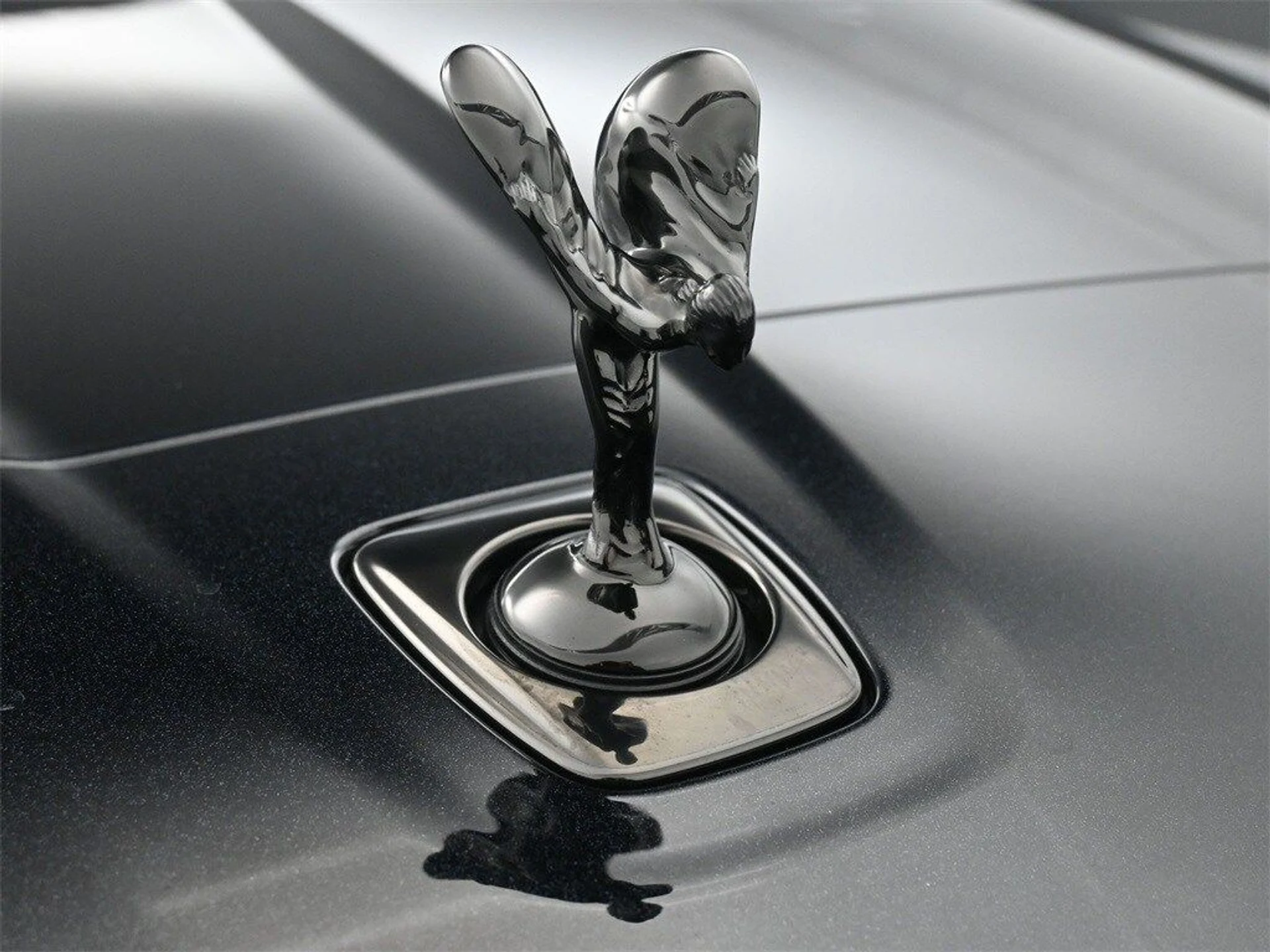 mph006_2934031159_a411671349badf4313d205a5b8164b2cx_cceadc1adc