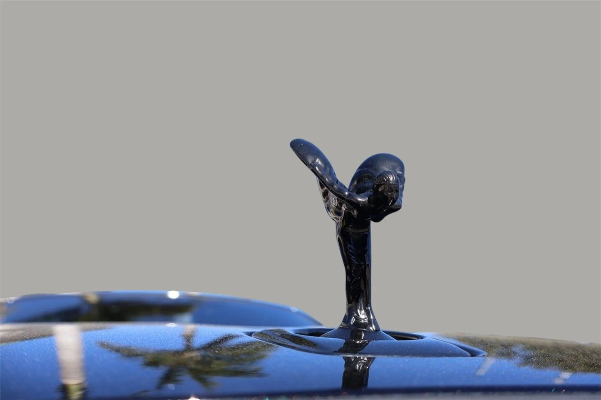 mph006_2978320854_7_5db80db3a7