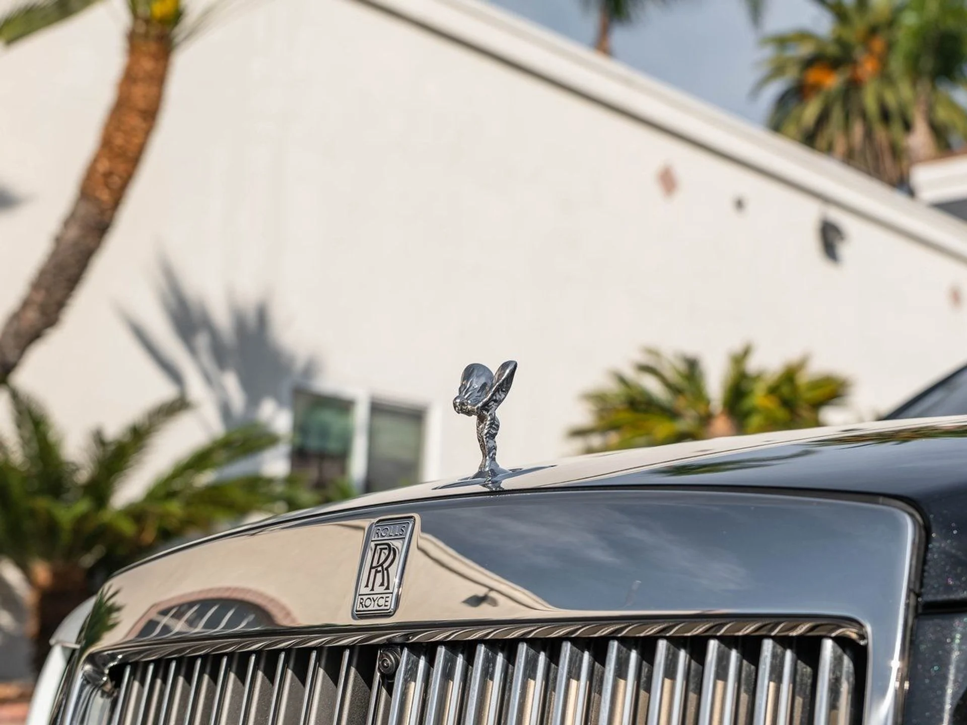 mph006_2988269245_205ac97cc197b547102014e6f4066f20x_14058e2616