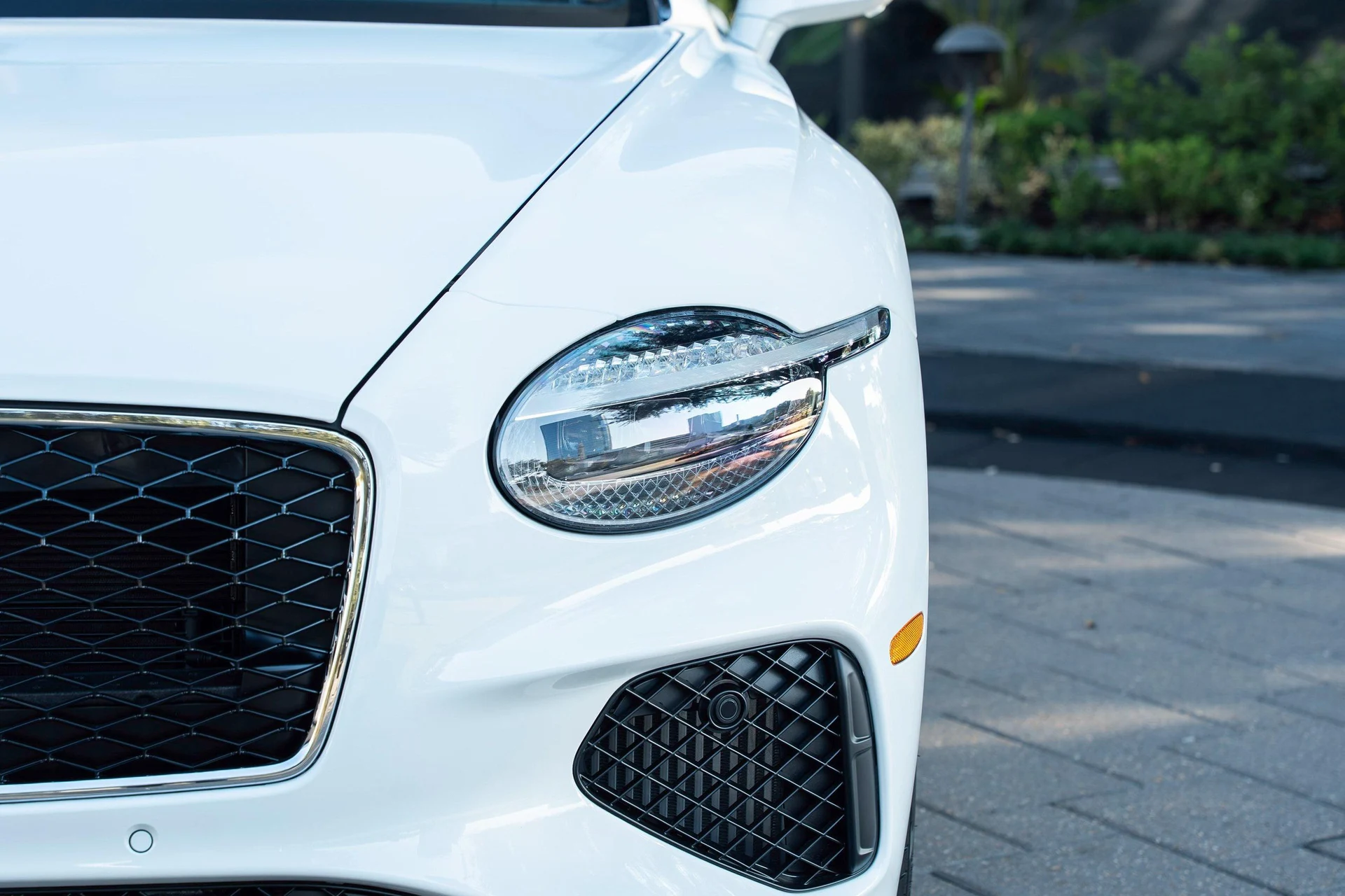 mph006_2998779124_458241676_68ef2214026595e726699a1e_a90ba2f865