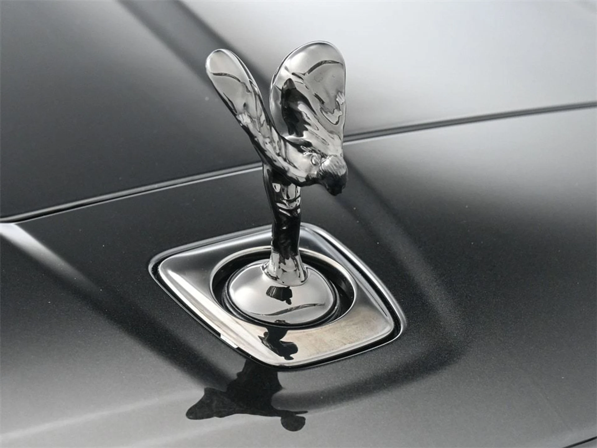 mph006_301569049_55ccfe25633e0c86021182235263cc8cx_2c74809b0a