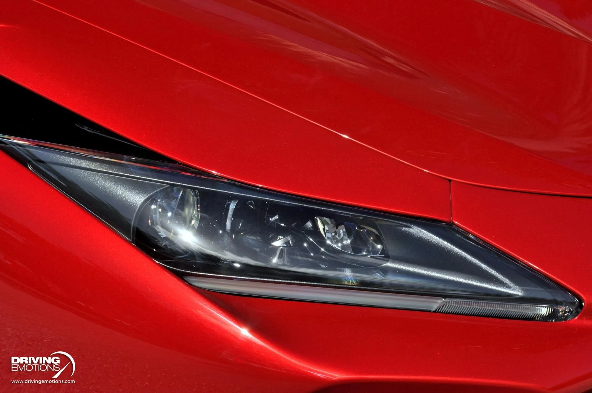 mph006_3038806510_896_p7_l_d326f9b705