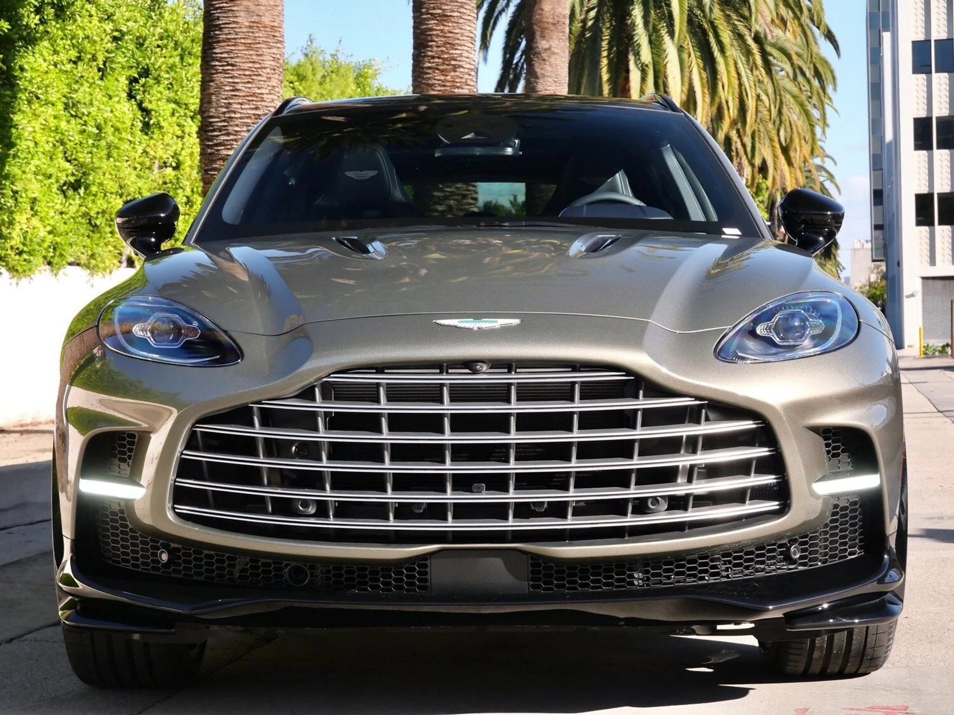 mph006_3051582990_a98a5e50986f0e0a0242cc545f49e647x_d49491b88e