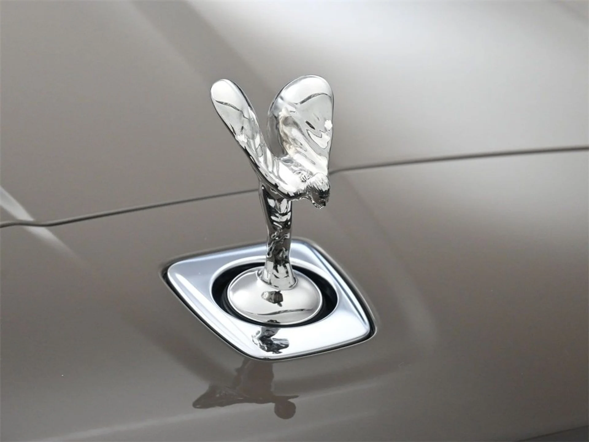 mph006_3123306266_27e07090381102c89872502063954b46x_628651e3bd