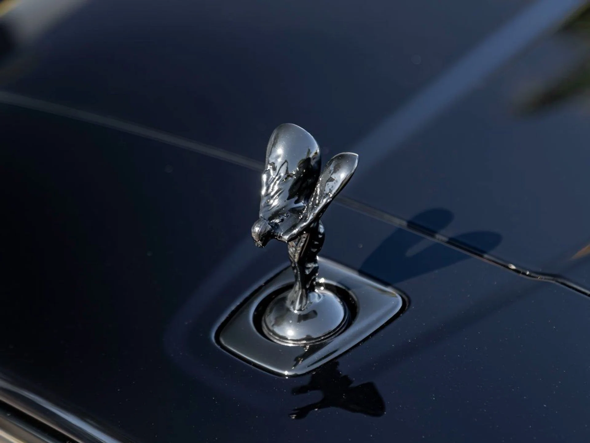 mph006_3124125579_7_4d895c9e0b