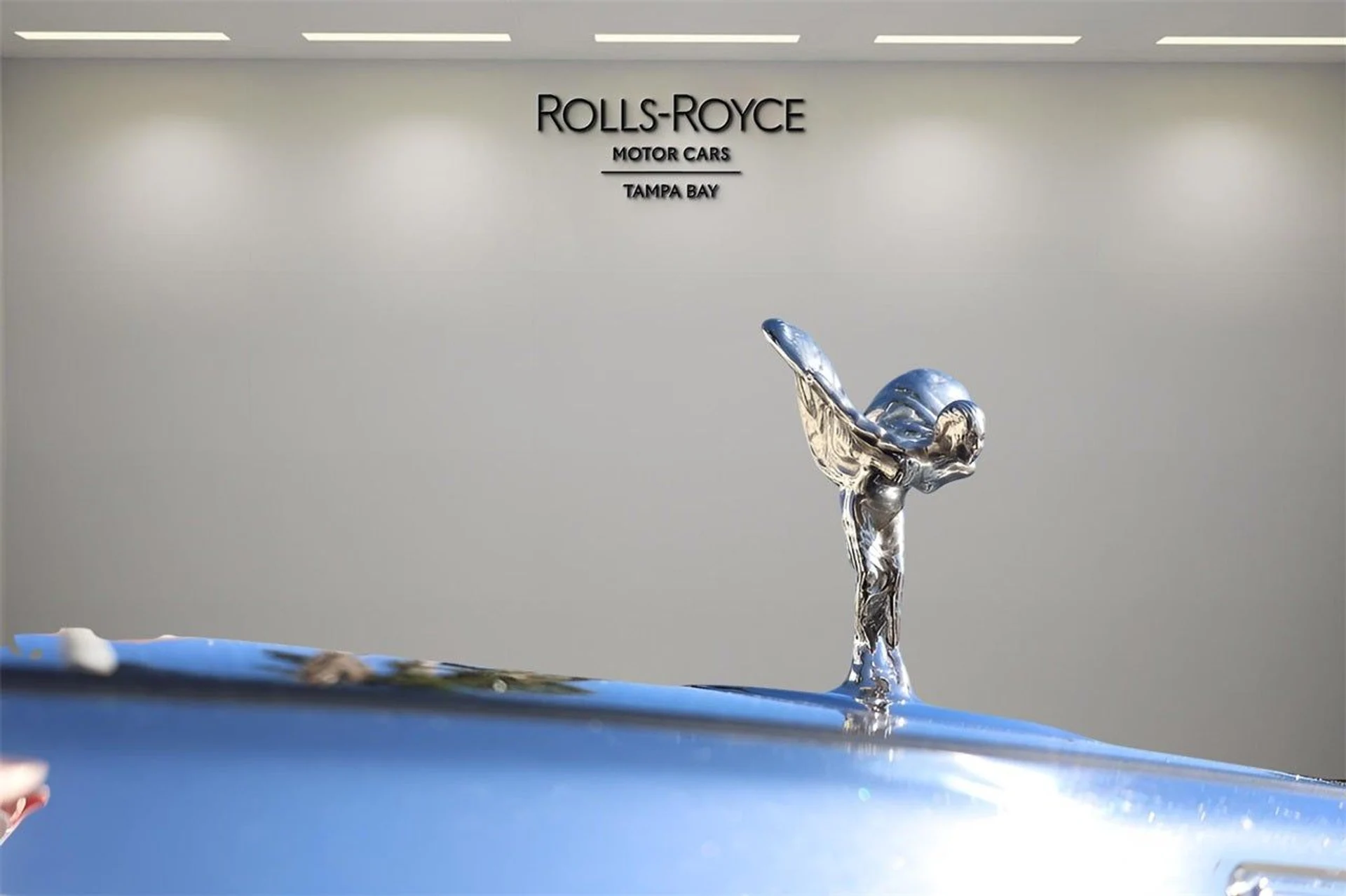 mph006_313712710_7_1797a71d46