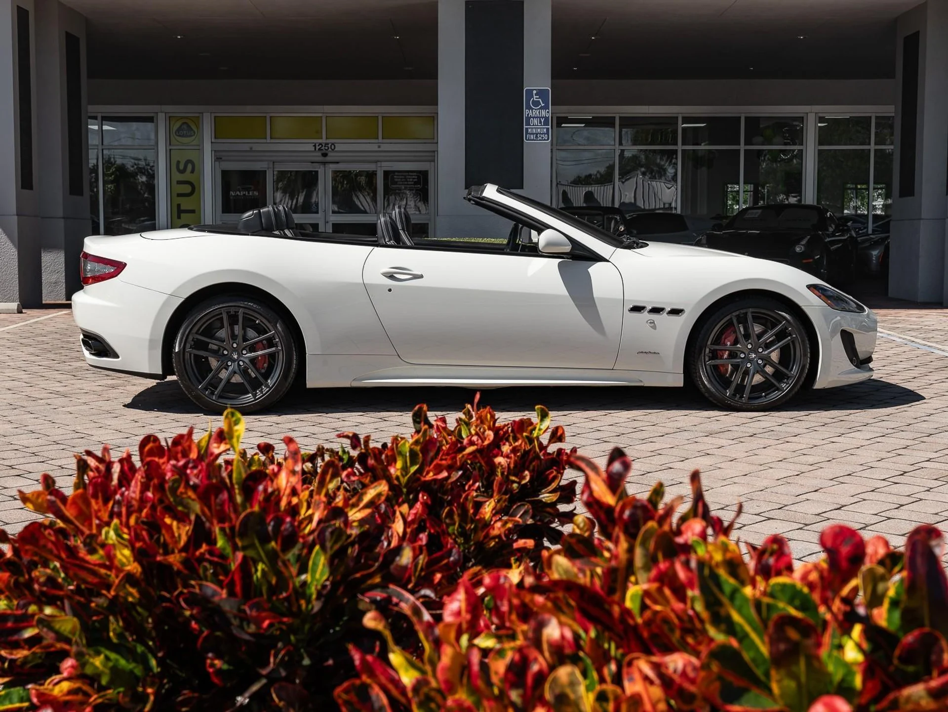 mph006_3138232123_Used_2015_Maserati_Gran_Turismo_Convertible_Sport_1760472321_cc9a72e905