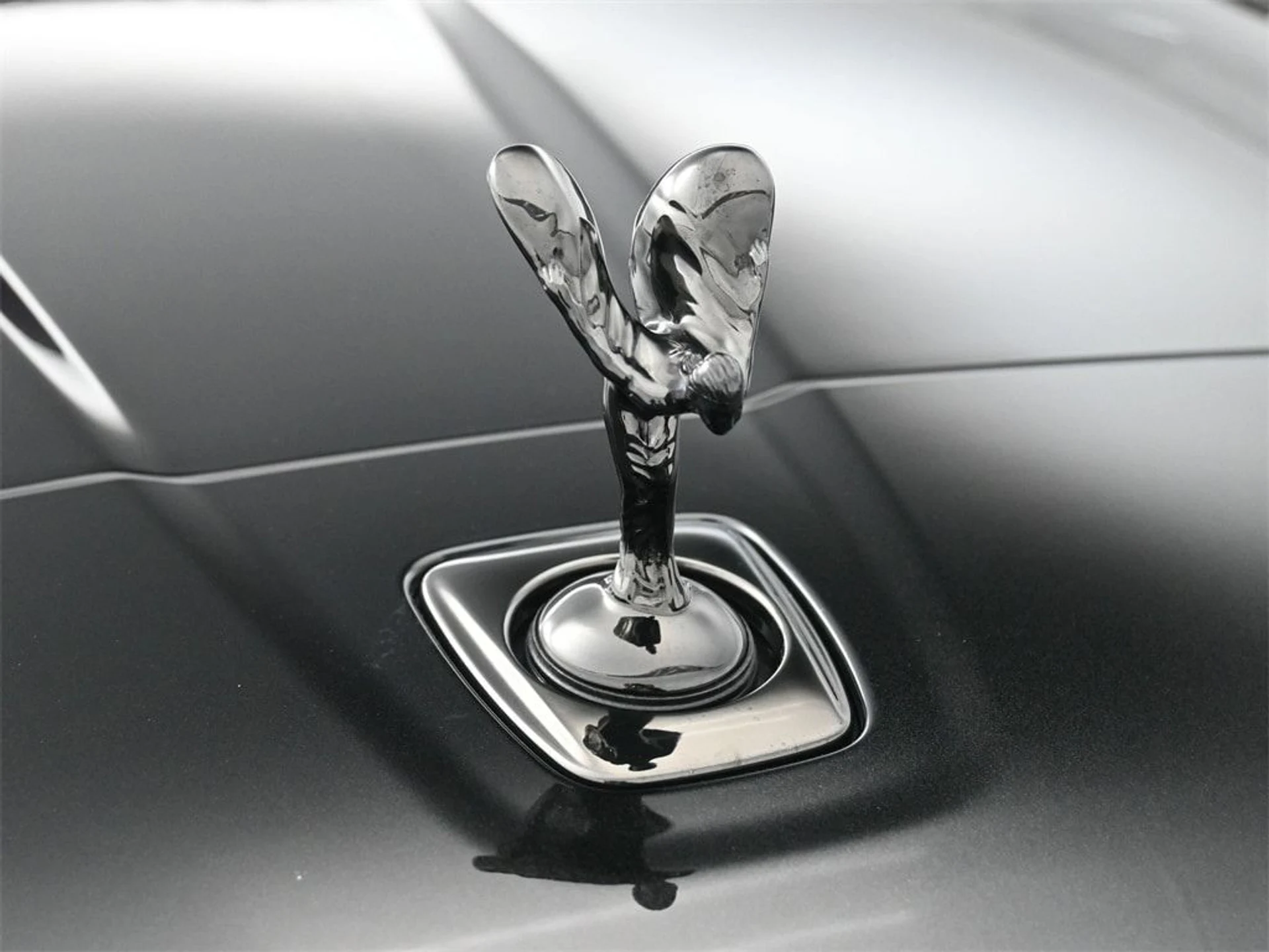 mph006_3138886494_c837a8d14c7648a2ff5d73474f21c014x_9d6dd309cc