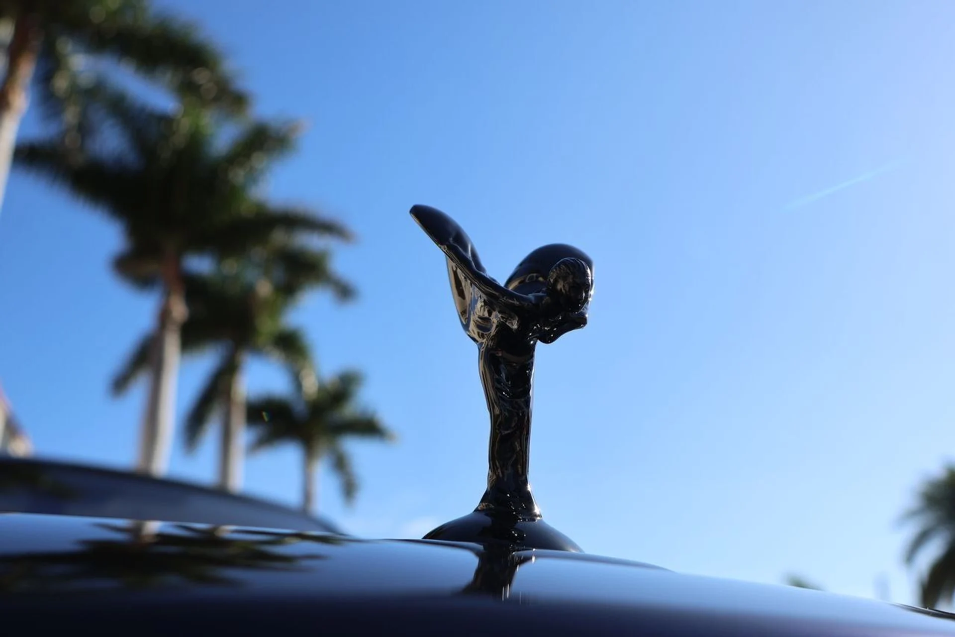 mph006_3186601391_7_41e1d76cb0