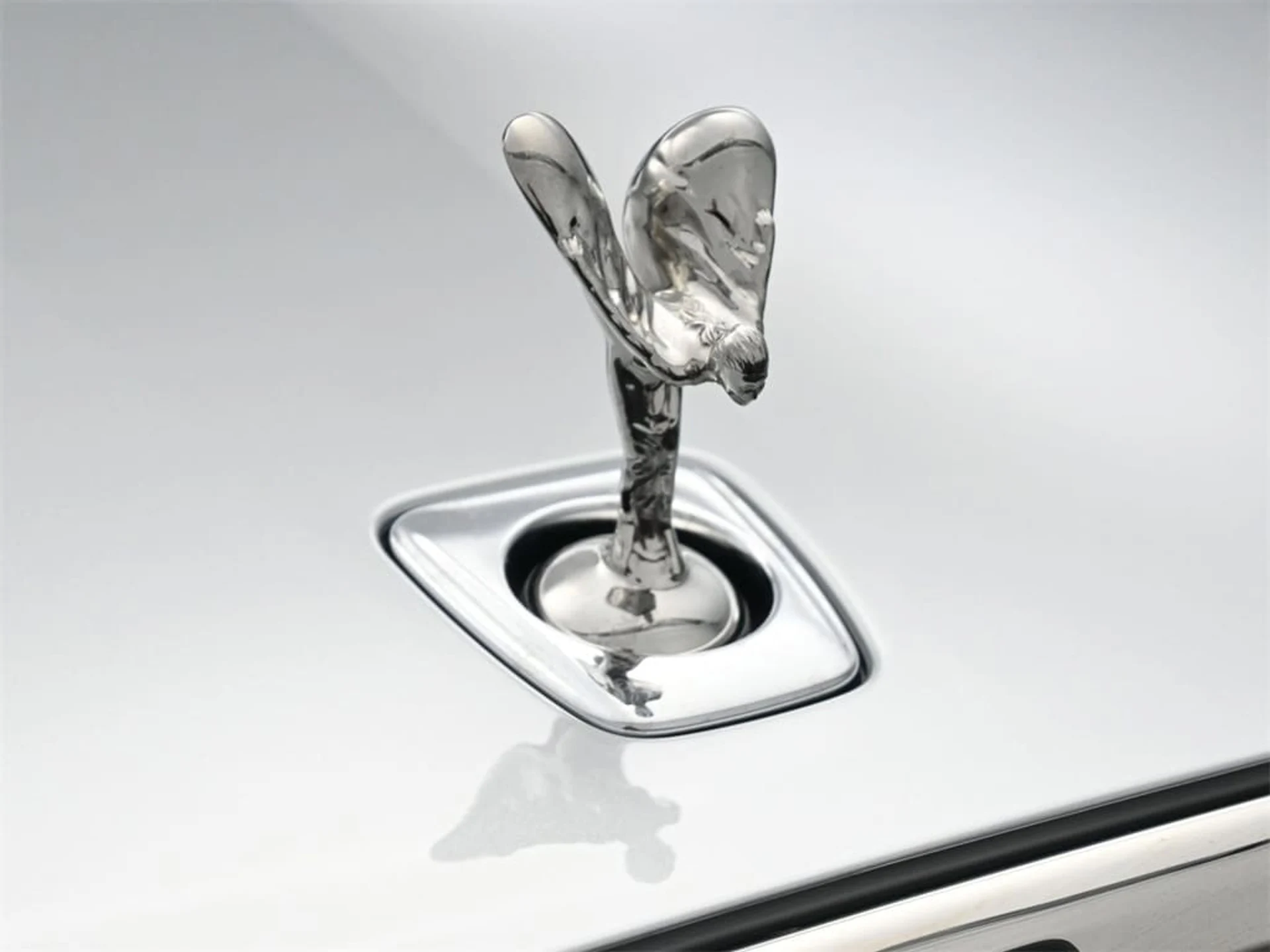 mph006_3200274932_e88c62edcaff36bd7b4edfc8f73b15a4x_1116553bb7