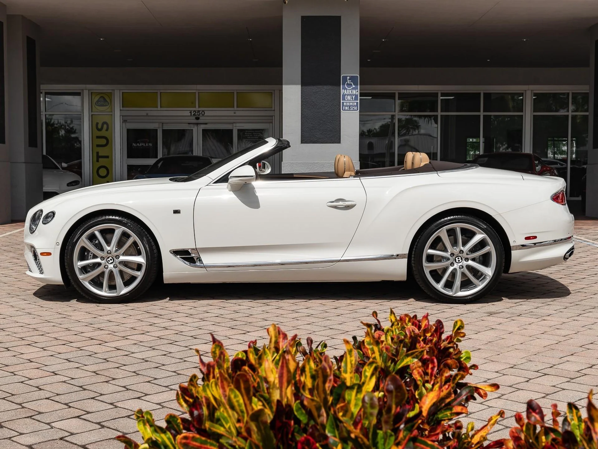 mph006_3243902241_Used_2020_Bentley_Continental_GT_V8_1754661639_4da5e9471c