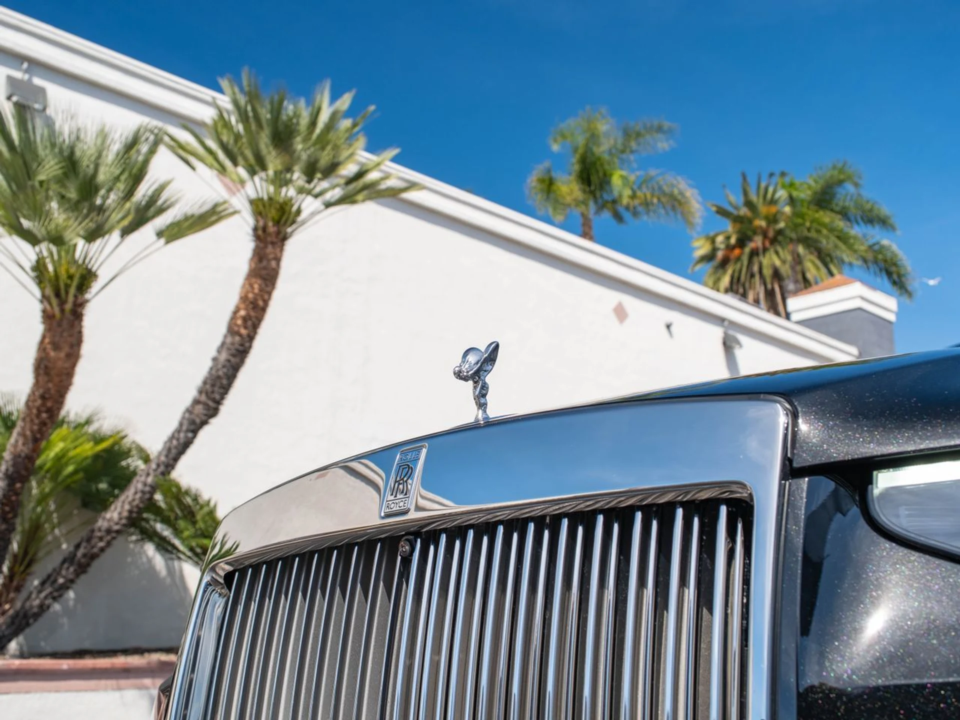 mph006_3285620939_dd24f630b2f8809d0d05a7aade5469bex_aed05dc8c7