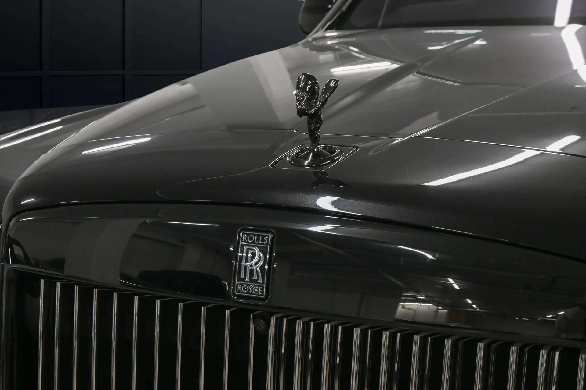 mph006_3294613819_49a961bb_08f4_452a_905d_5e9b4cc65d7a_5105c059a5