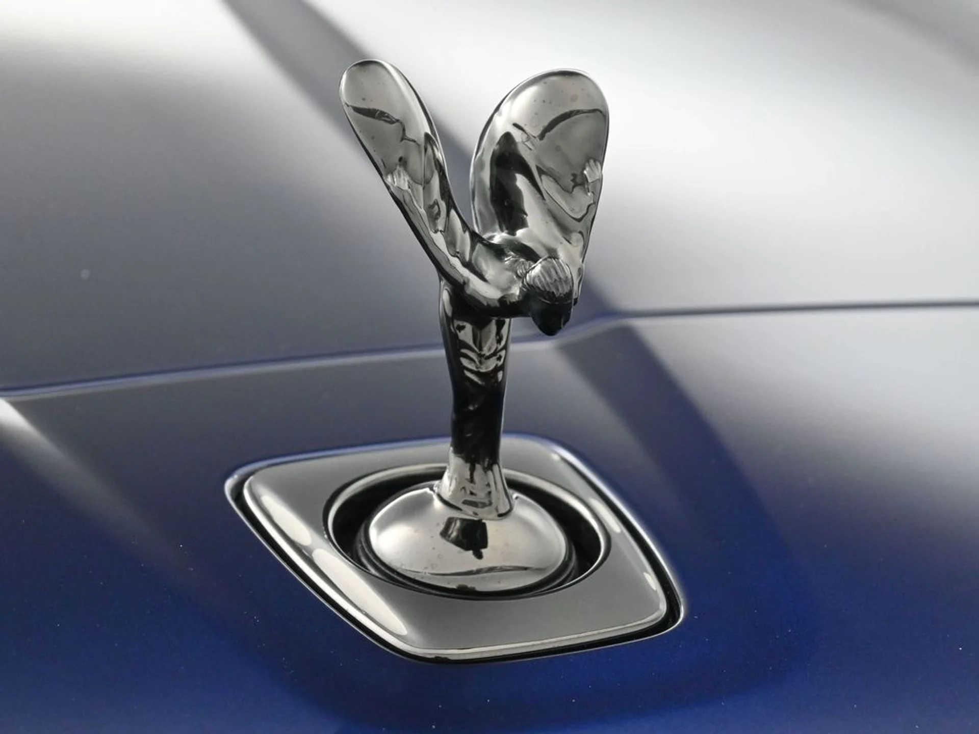 mph006_3299417194_8360d15a2c7f2f0e2ba18351c978d32cx_49ba4f5bfe