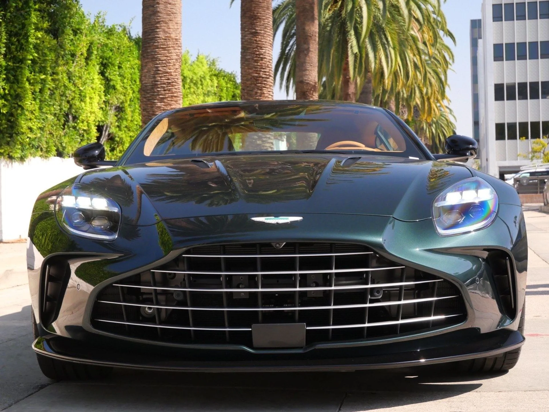 mph006_3310353070_13cdab71bd97c09d98b5611f295afa01x_831d1f1fc2