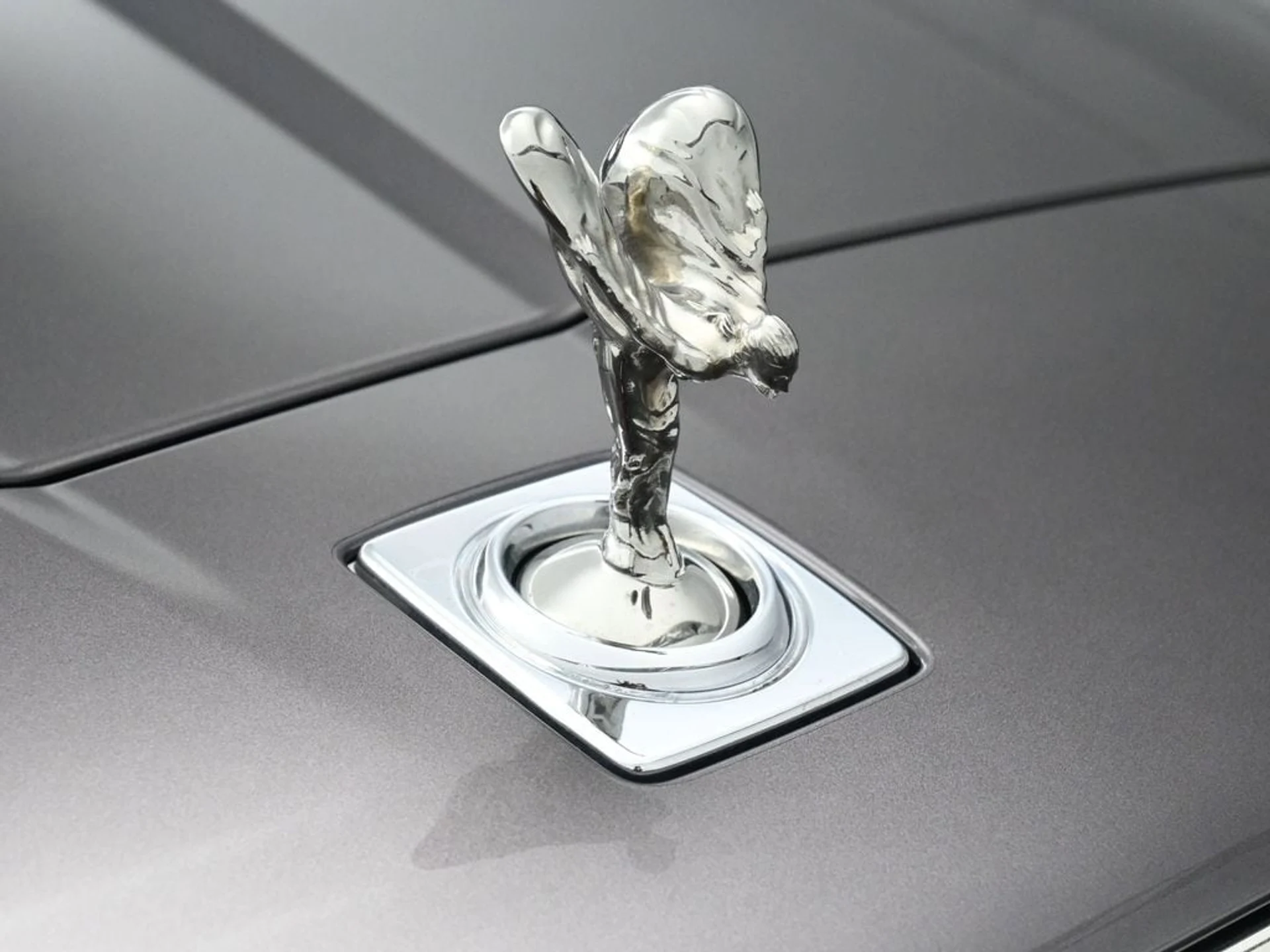 mph006_3311026029_3cf3c2792b2c4c4d31dd32ba24d280cax_6f095e7fb6