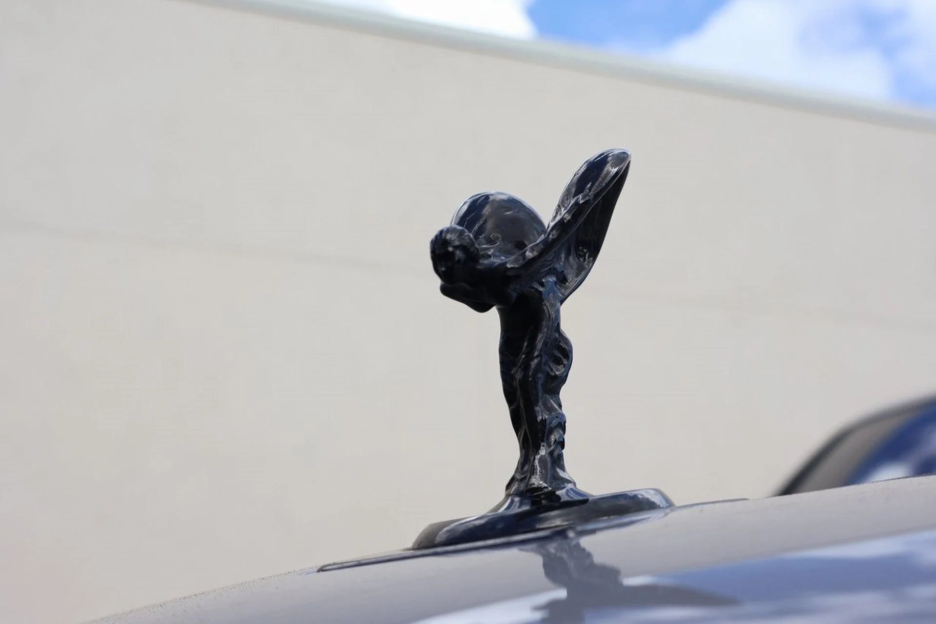 mph006_3339096570_7_c41ea75dba