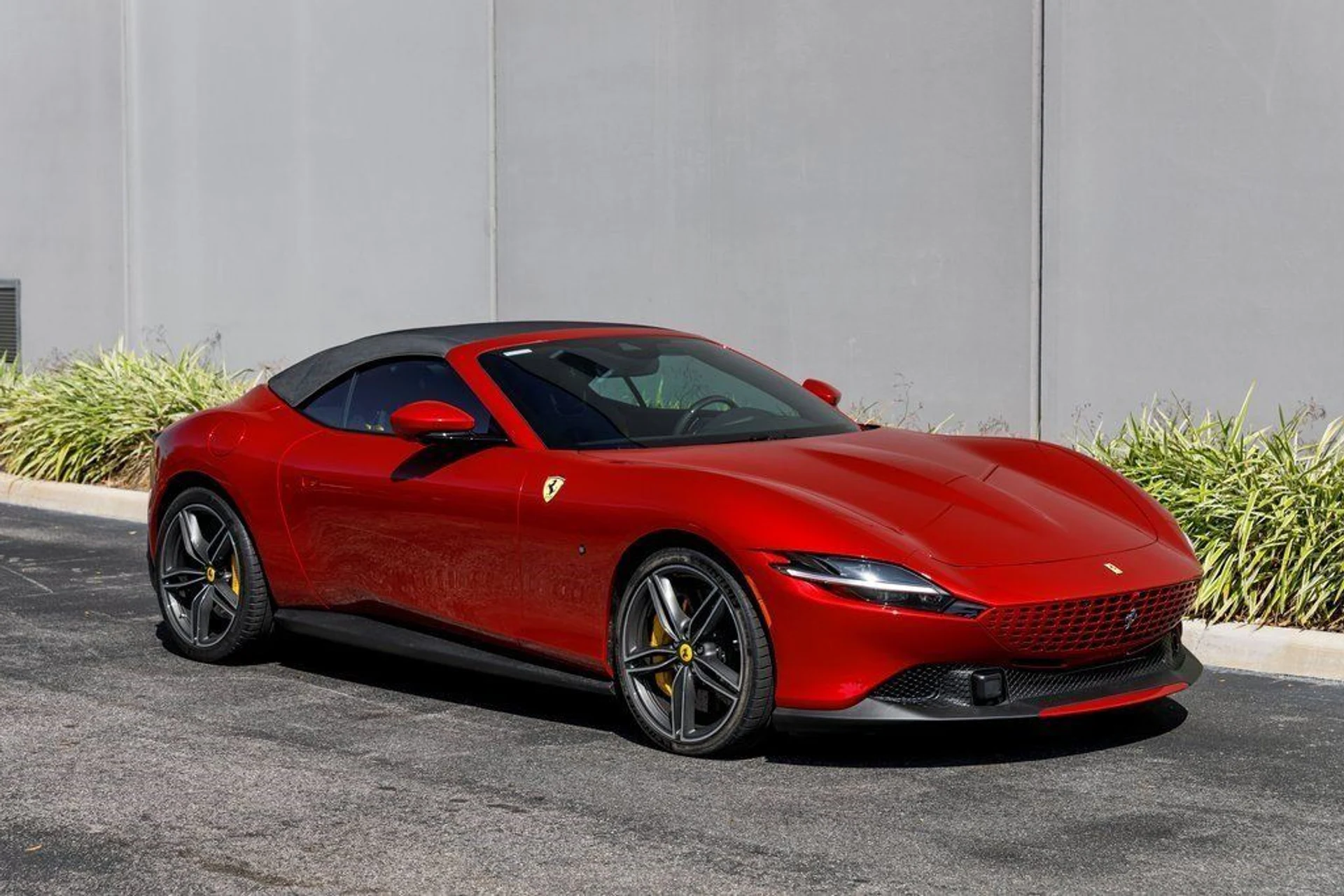 mph006_336276149_15a415b35116617cc2f4800f3a49e136_0a3b0f3e81