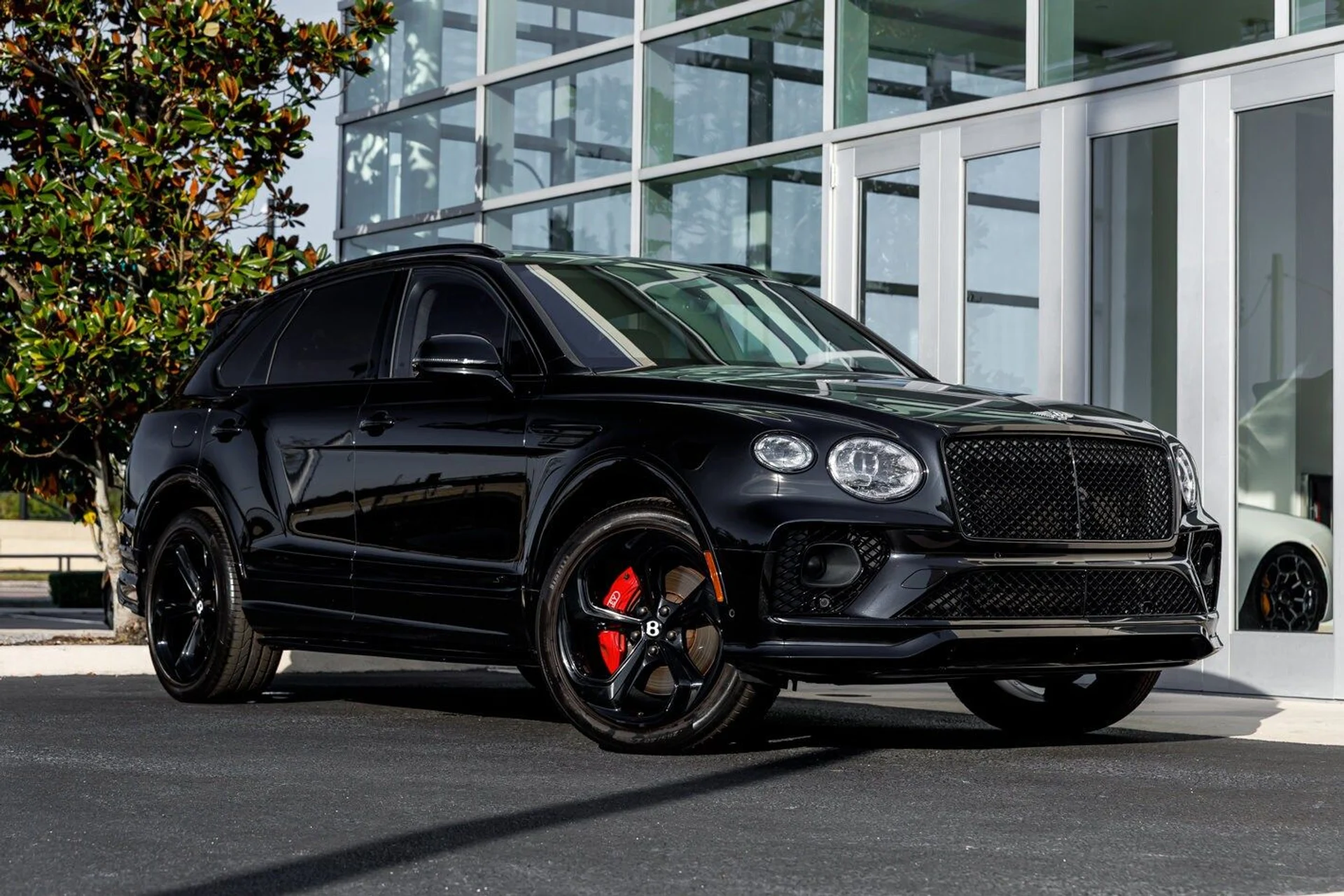 mph006_337392787_37d153c690e6939c7ed9137ce684b58bx_accad5483a