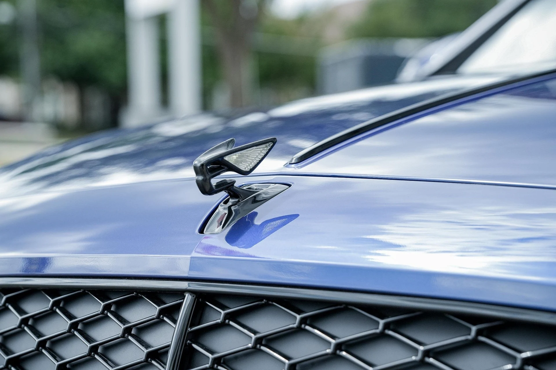 mph006_337807537_Hi_Tech_Luxury_Imports_LLC_SCBBP_6_ZG_0_SC_023385_image_6_4040dd06b0