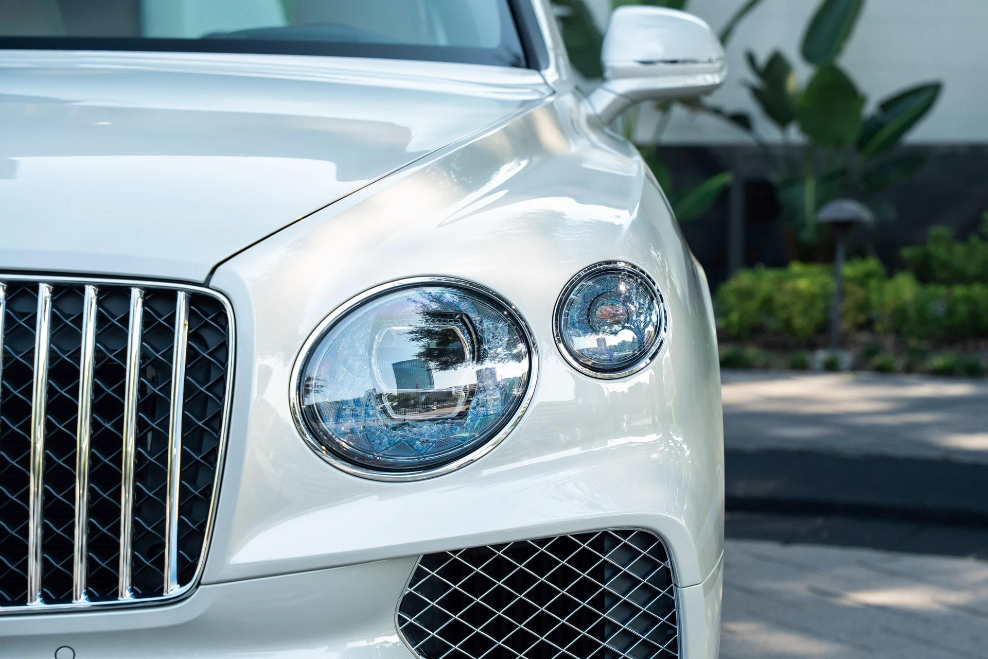 mph006_3430636530_470962090_69063ca4ca1ae070f76ad6f8_21c4c20c40