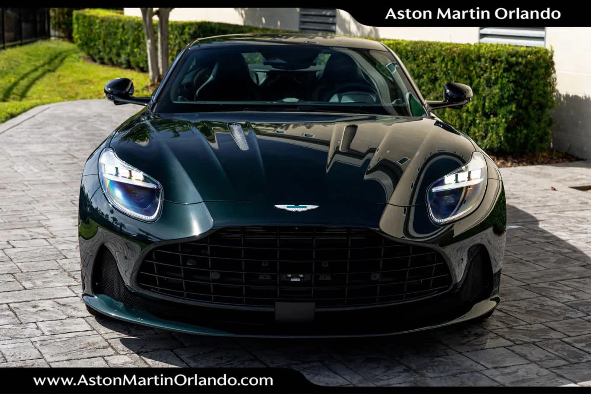 mph006_3447098718_7_2fa01441e4