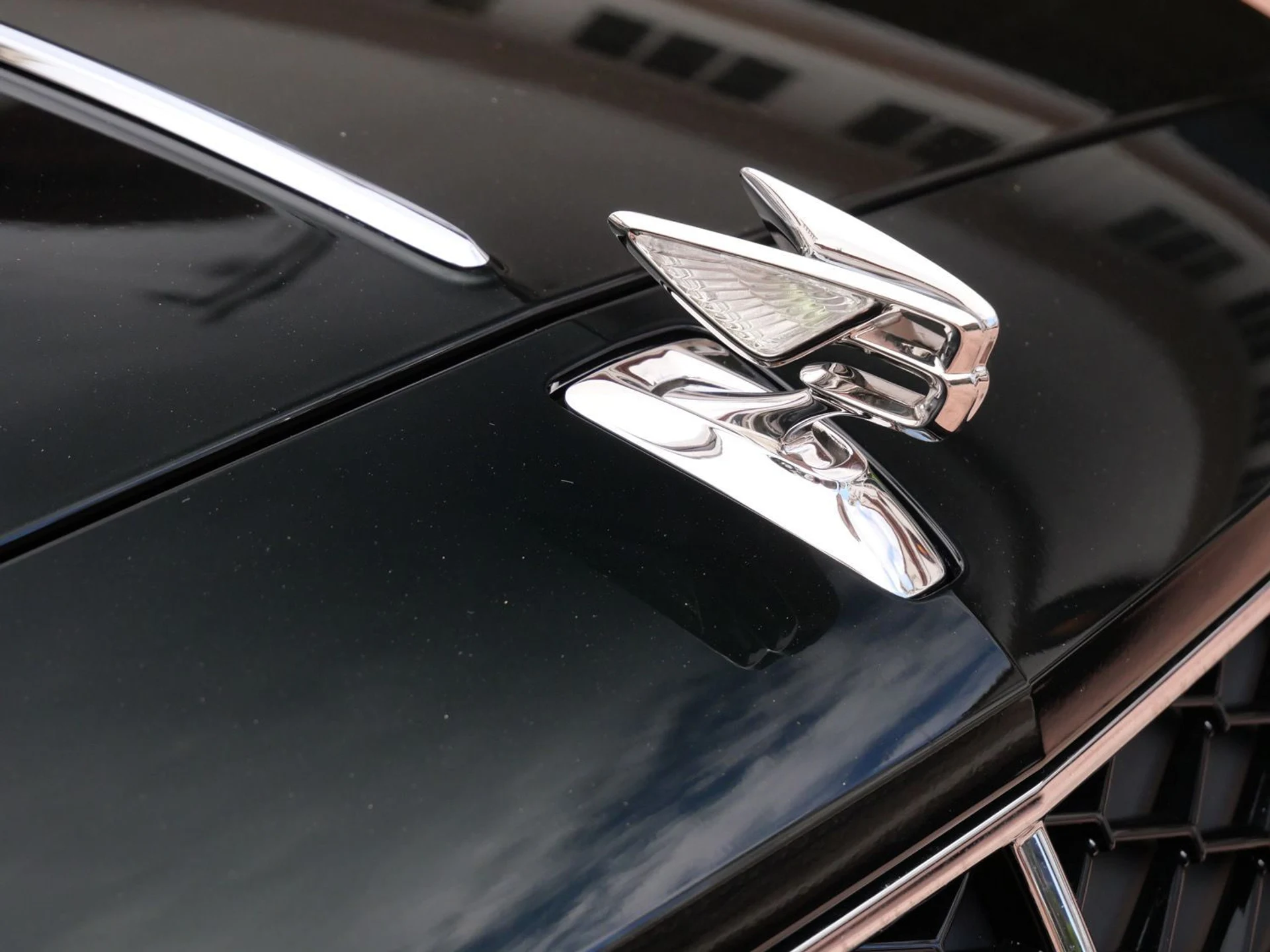 mph006_3455459175_129026df88bf656251b72007dfdb6c22x_80fca3050e