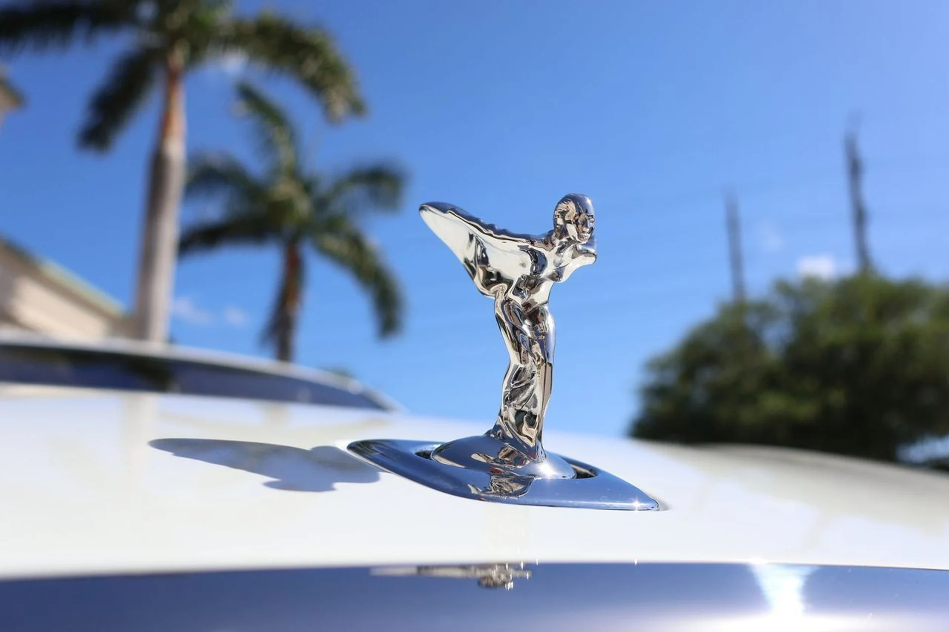 mph006_3496988173_7_df769e2fc0